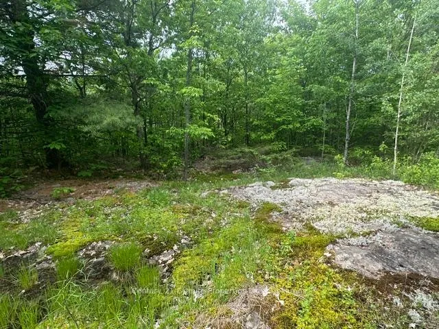 Photo 7 of Seguin — HOMEH