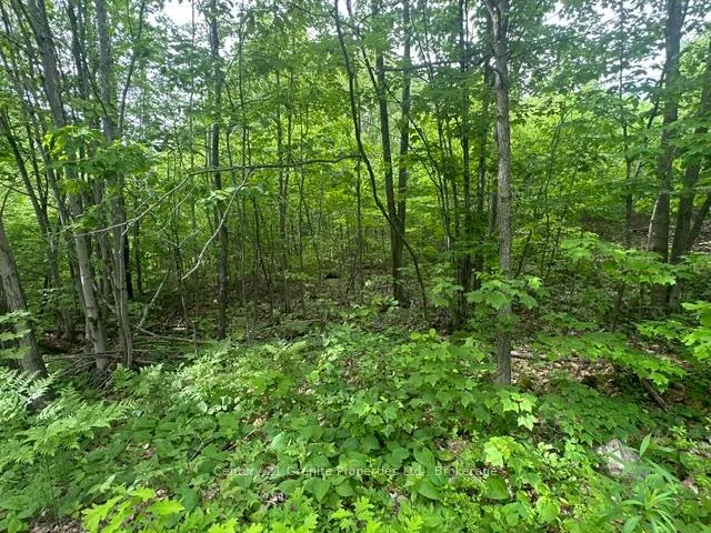 Photo 8 of Seguin — HOMEH