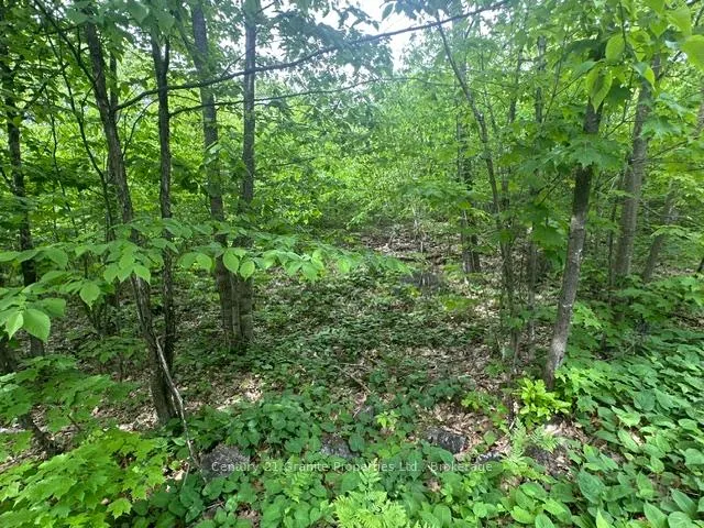 Photo 9 of Seguin — HOMEH