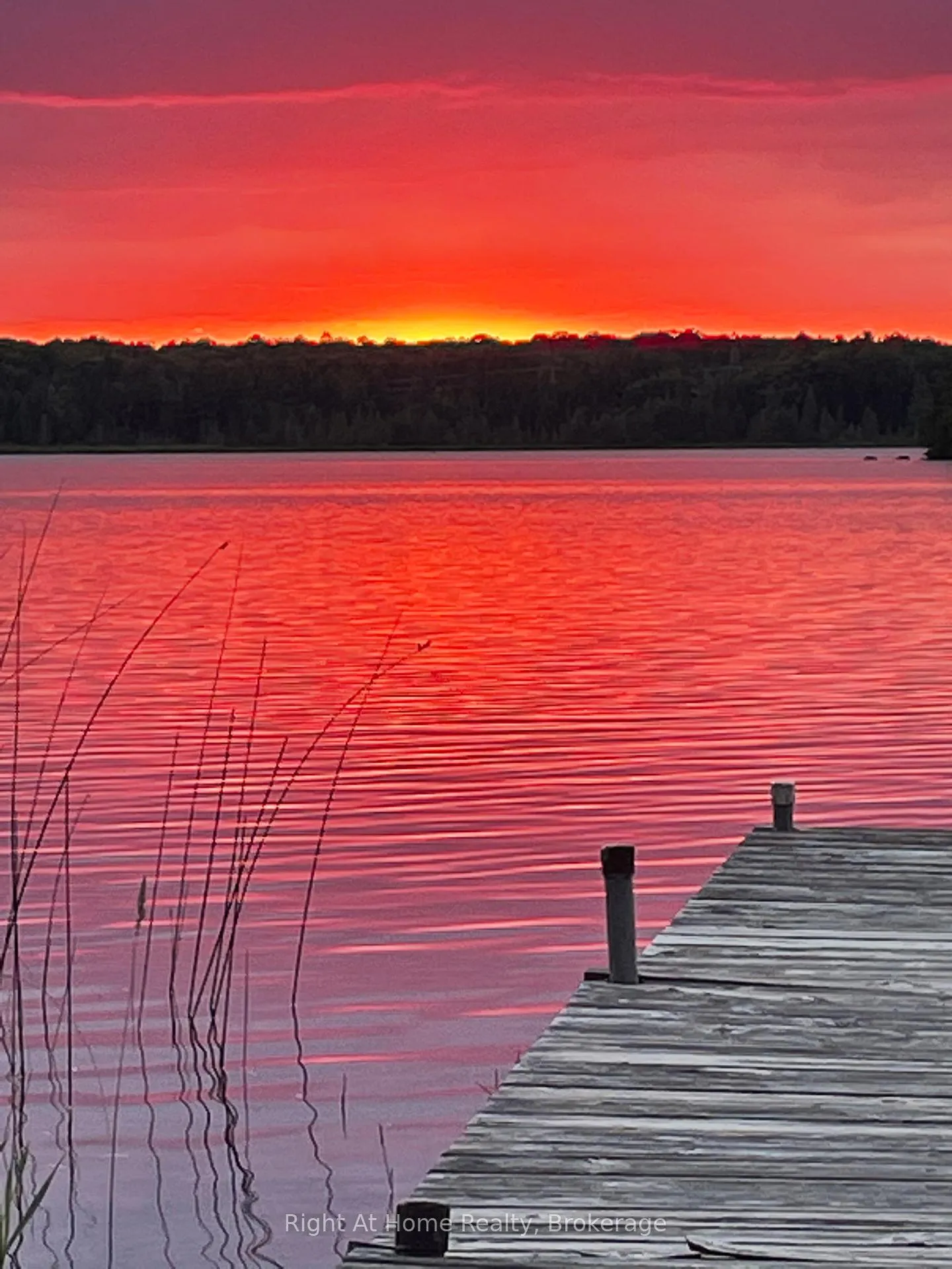 Photo 25 of 74 Talbot Road, Kawartha Lakes, Laxton/Digby/Longford — HOMEH