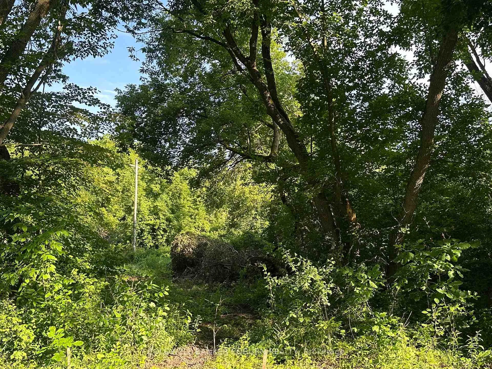Photo 2 of 00 Pittston Road, Edwardsburgh/Cardinal, Edwardsburgh/Cardinal Twp — HOMEH