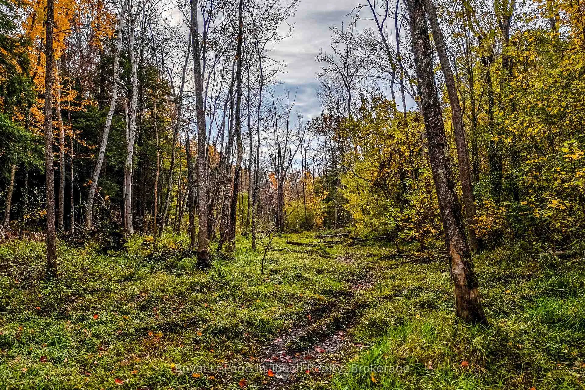 Photo 11 of Lot 14 Concession 18 Road W, Tiny, Rural Tiny — HOMEH