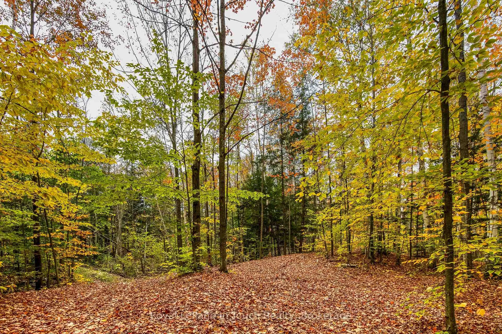 Photo 4 of Lot 14 Concession 18 Road W, Tiny, Rural Tiny — HOMEH