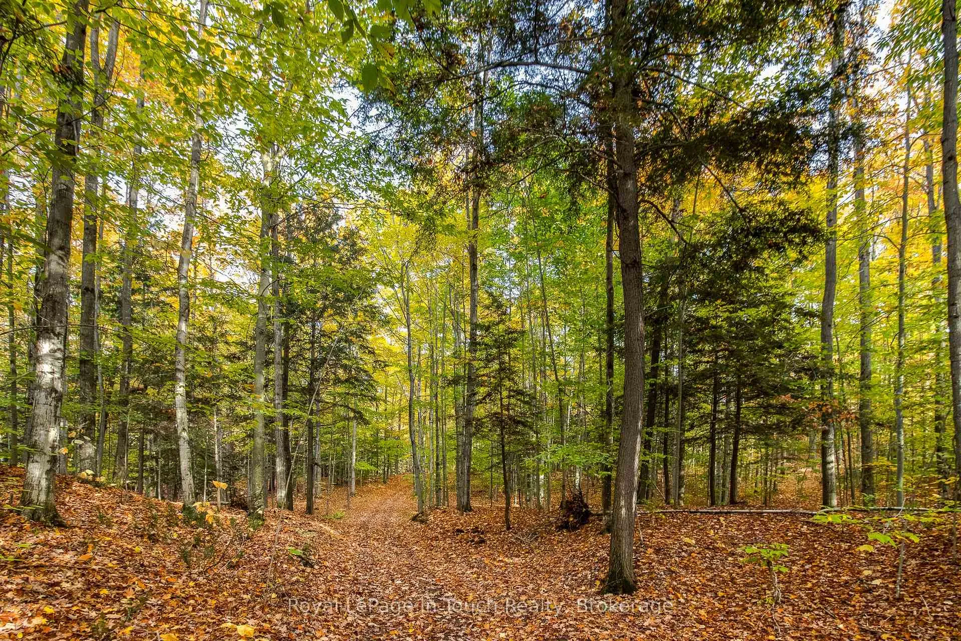 Photo of Lot 14 Concession 18 Road W
