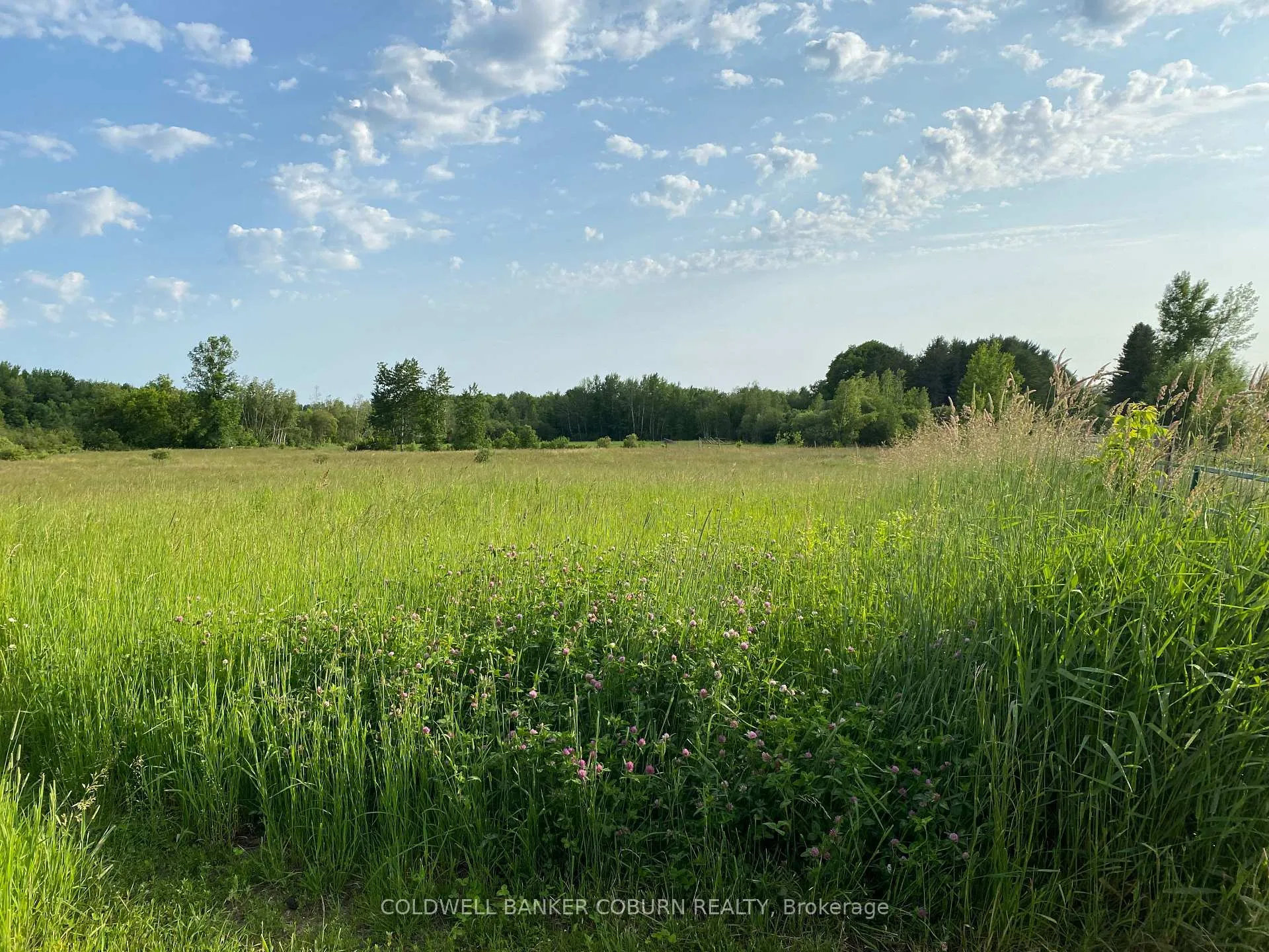 Photo 2 of 0000 Pittston Road, Edwardsburgh/Cardinal, Edwardsburgh/Cardinal Twp — HOMEH