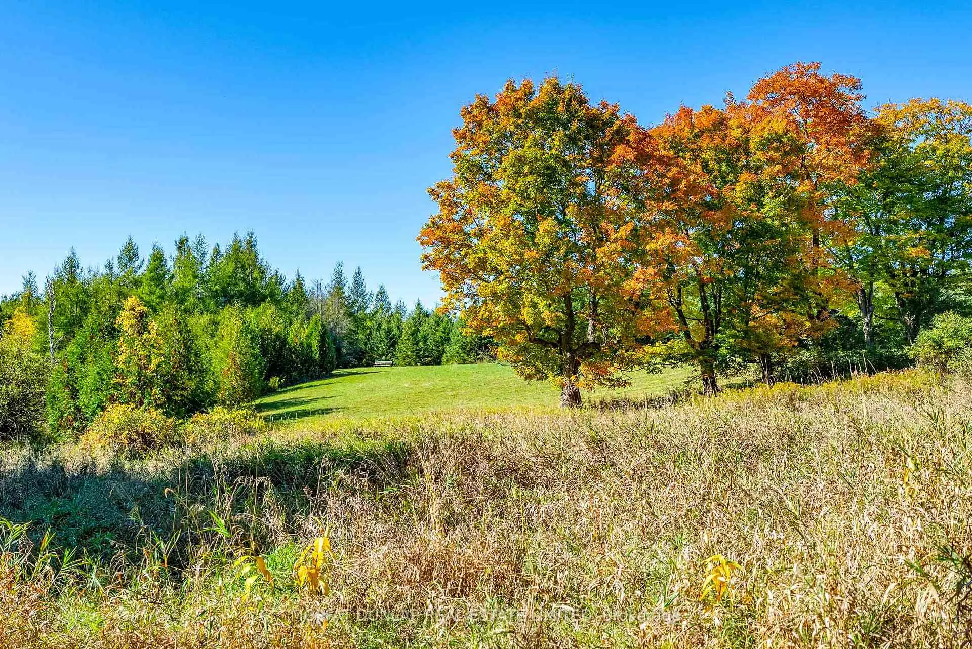 Photo of 15910 South Lot of 15910 Mississauga Road