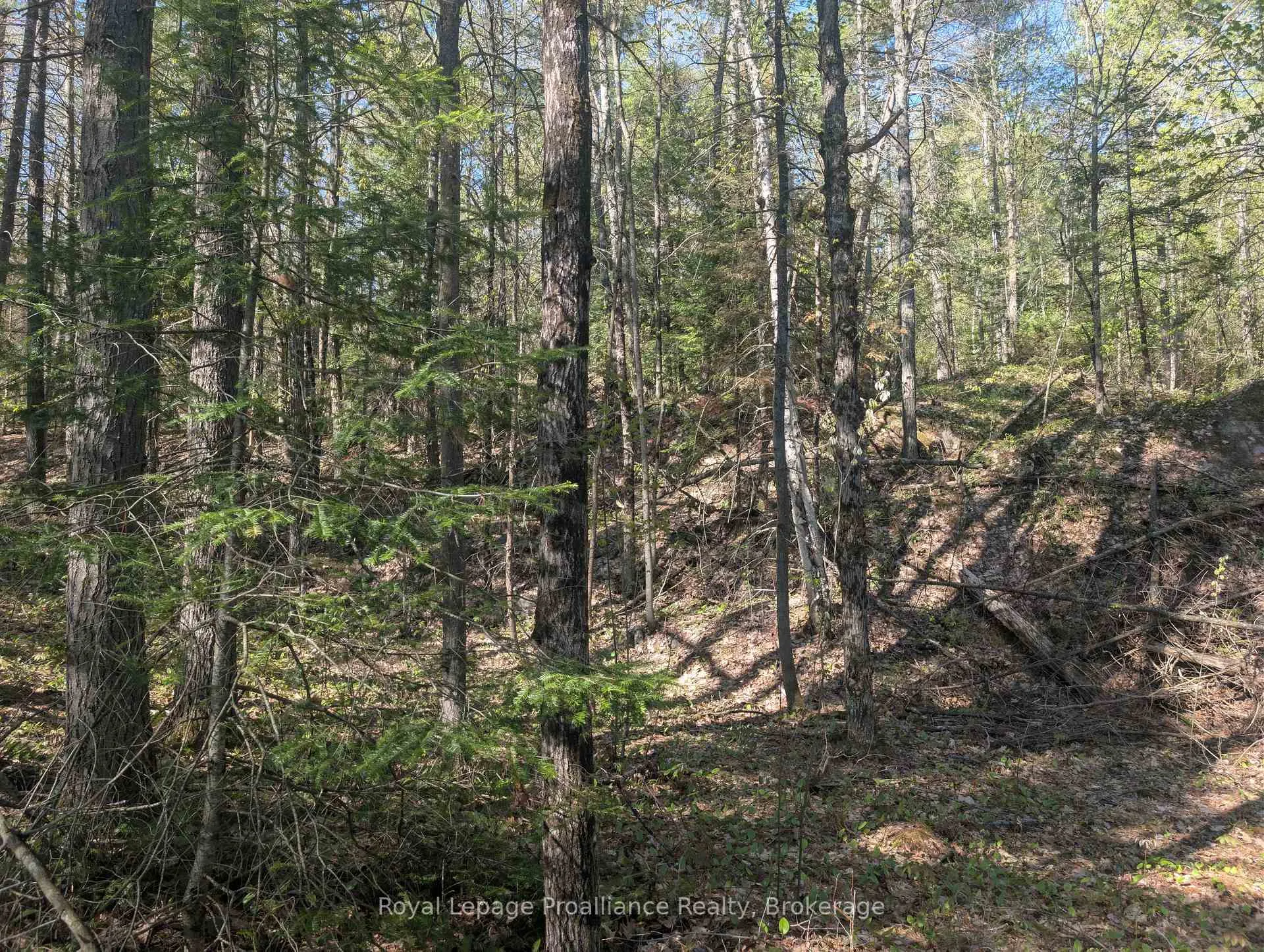 Photo 8 of 17600B Highway 41, Addington Highlands — HOMEH