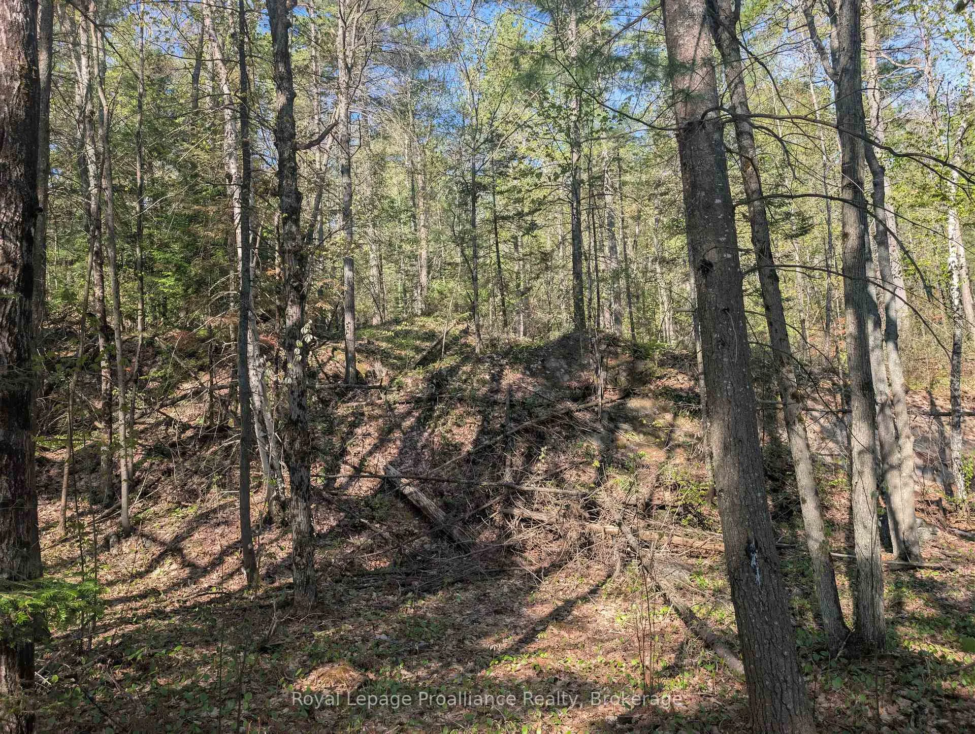 Photo 9 of 17600B Highway 41, Addington Highlands — HOMEH