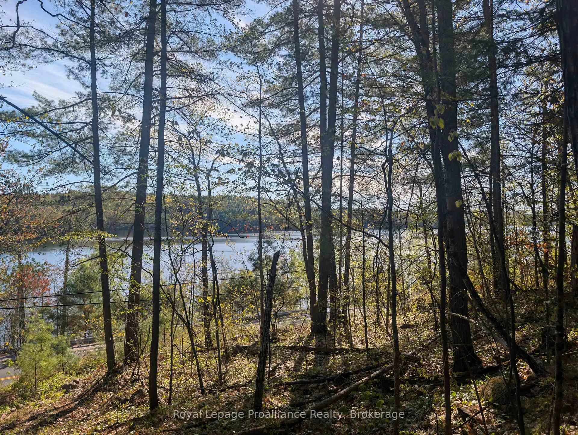 Photo 11 of 17600B Highway 41, Addington Highlands — HOMEH