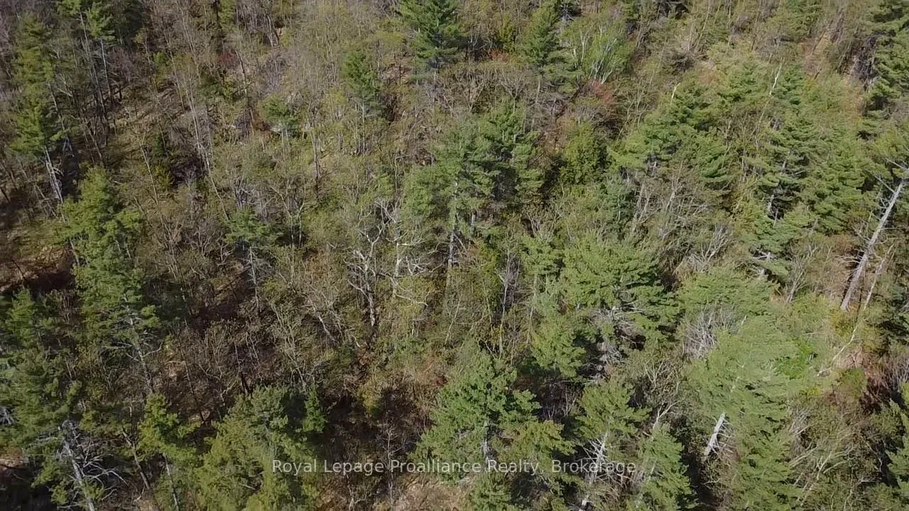Photo 13 of 17600B Highway 41, Addington Highlands — HOMEH