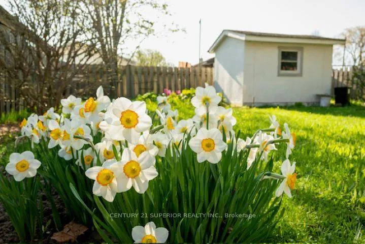 Photo 26 of 834 Syndicate Ave N, Thunder Bay, McKeller Park — HOMEH