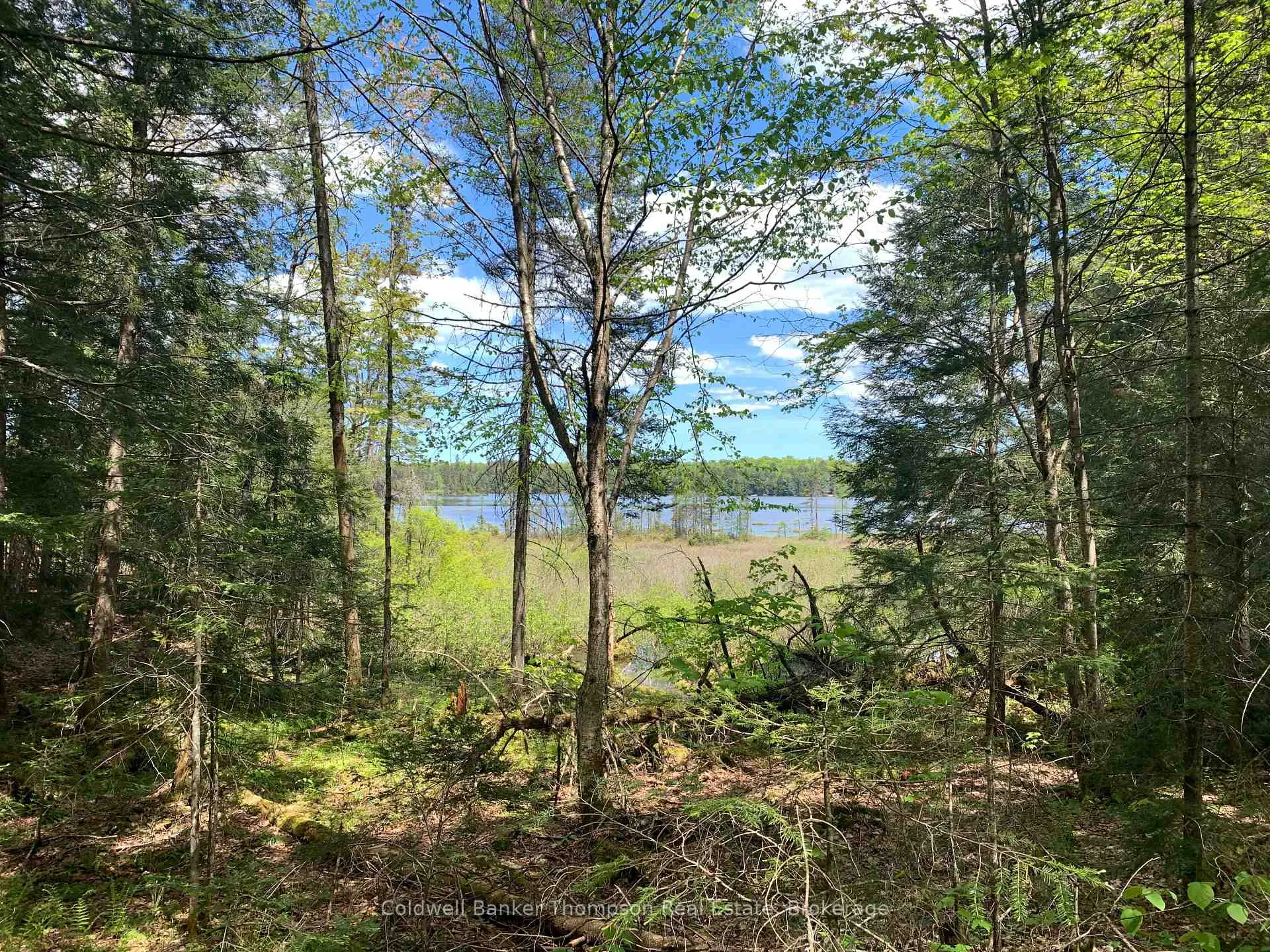 Photo of Lot 16 Maxwell Lane