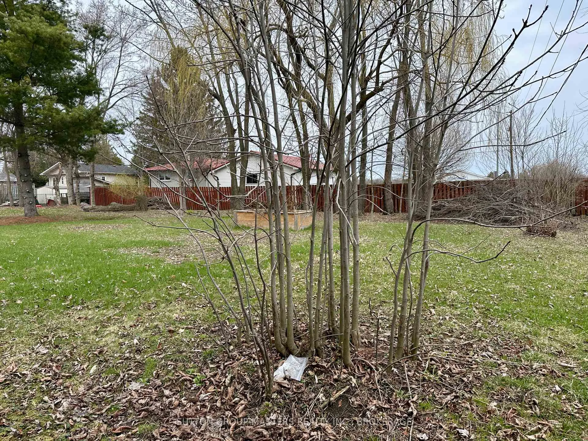 Photo 9 of 1666 Victoria Street, Kingston, South of Taylor-Kidd Blvd — HOMEH