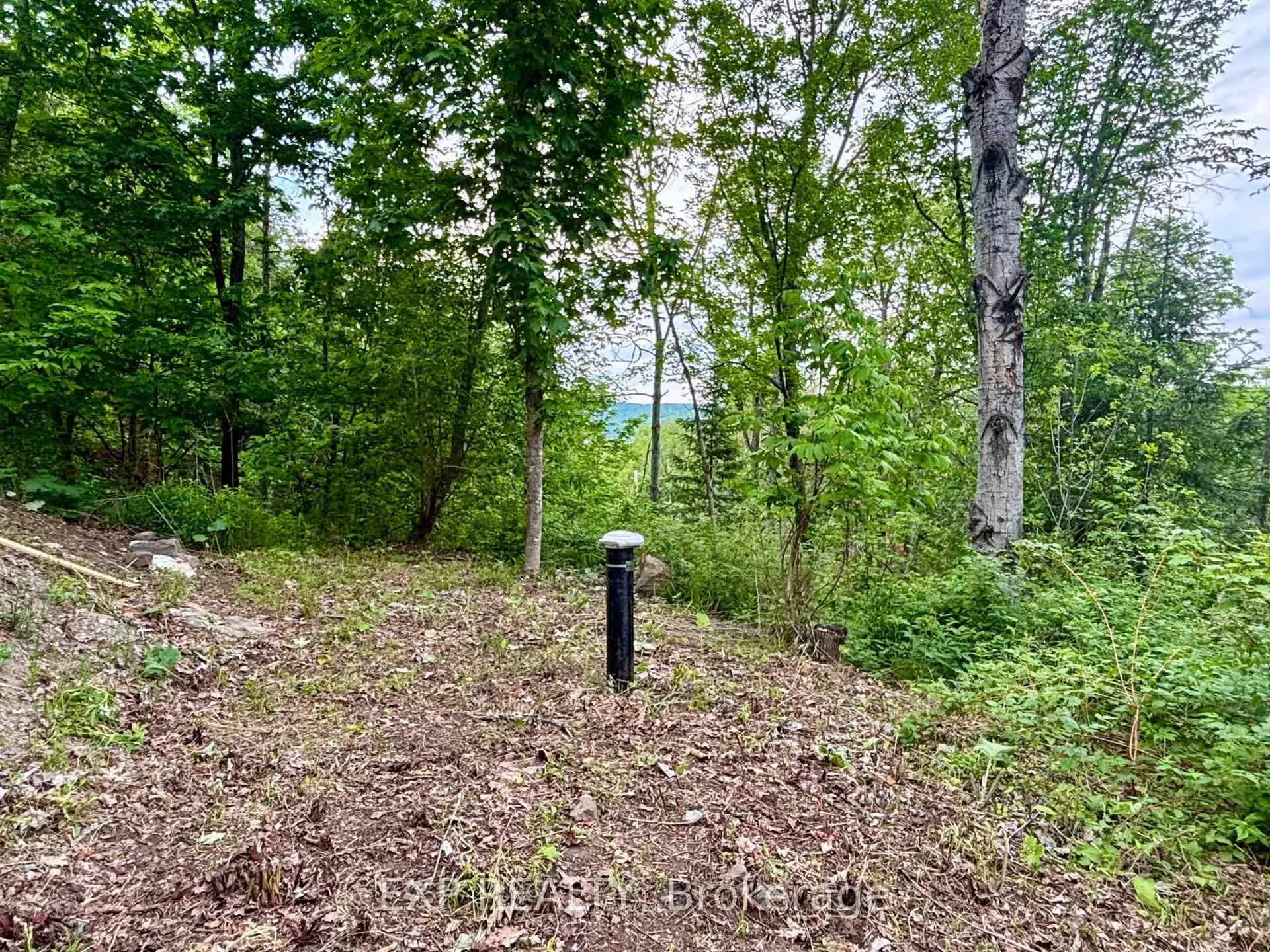 Photo 11 of 47 Arbor vitae Road, Madawaska Valley, Madawaska Valley — HOMEH