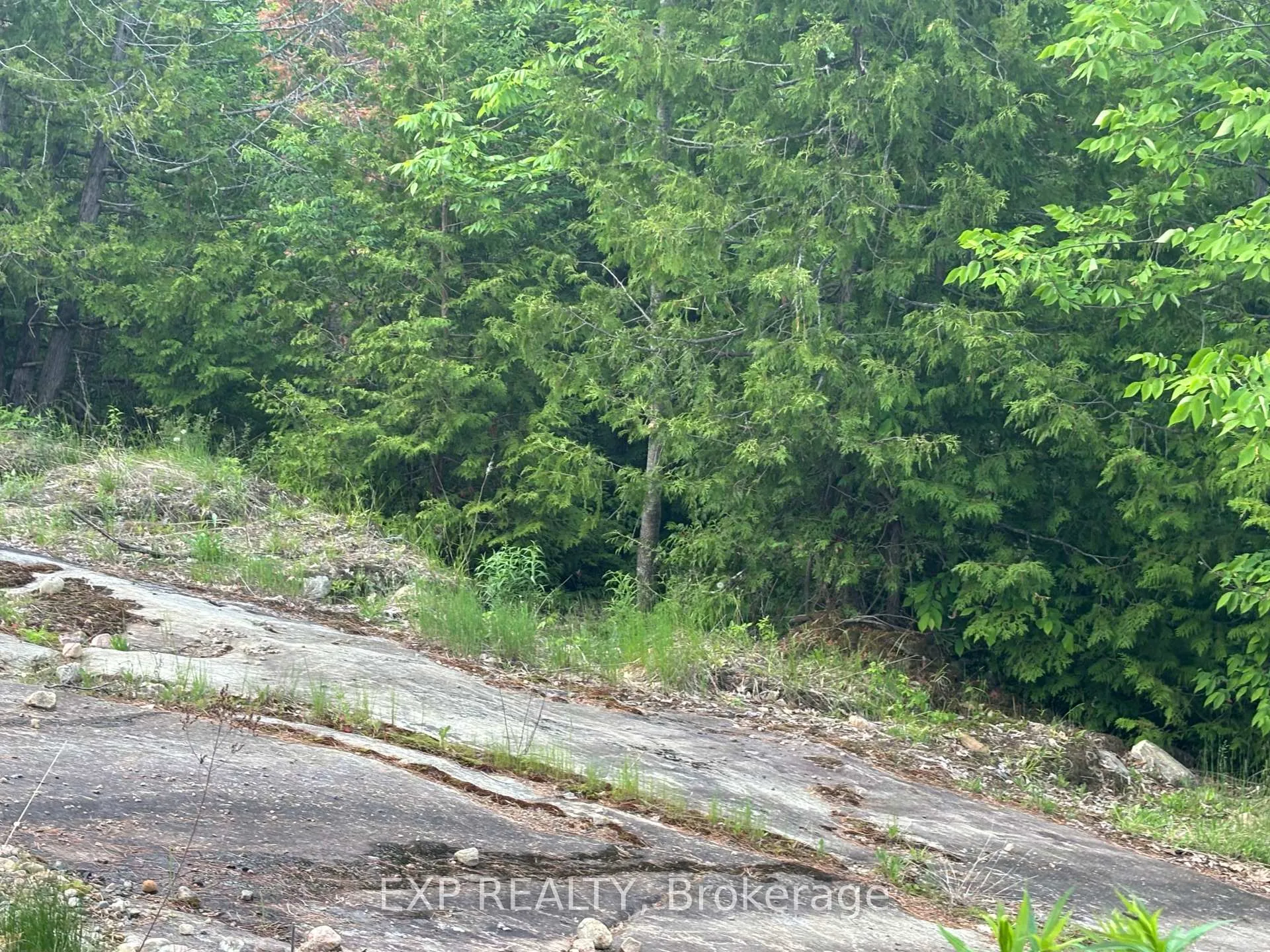Photo 14 of 47 Arbor vitae Road, Madawaska Valley, Madawaska Valley — HOMEH
