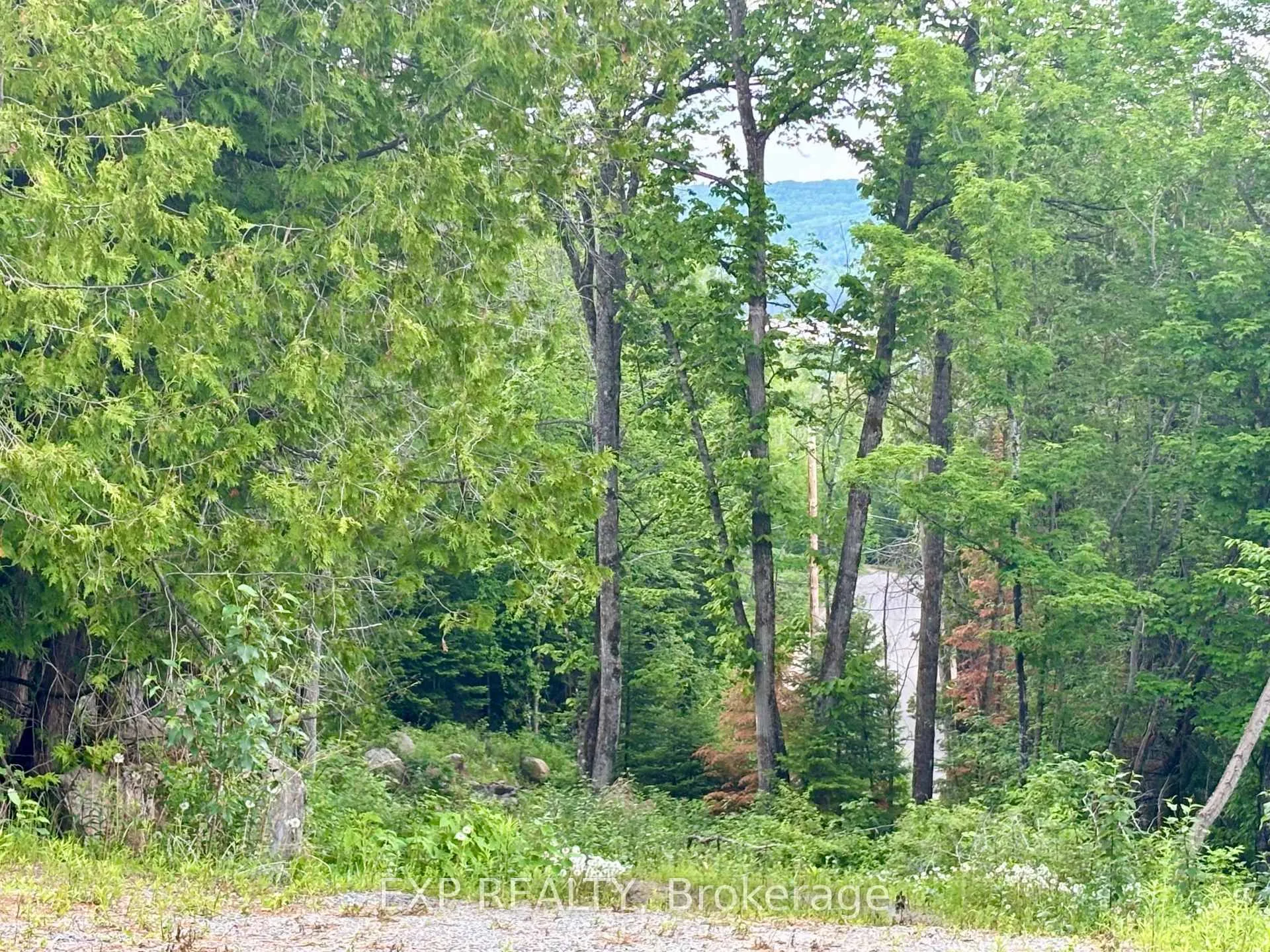 Photo 16 of 47 Arbor vitae Road, Madawaska Valley, Madawaska Valley — HOMEH