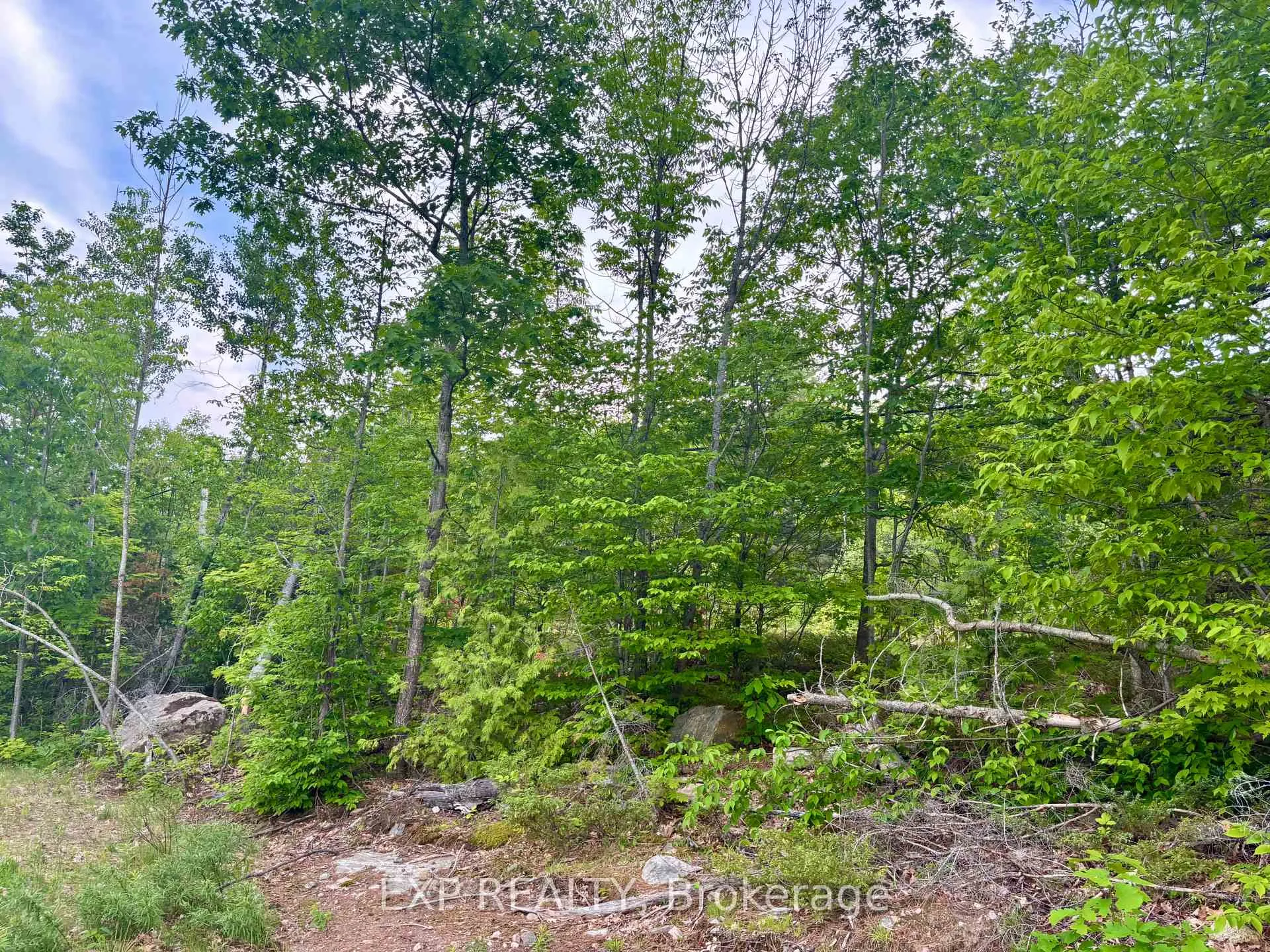 Photo 17 of 47 Arbor vitae Road, Madawaska Valley, Madawaska Valley — HOMEH
