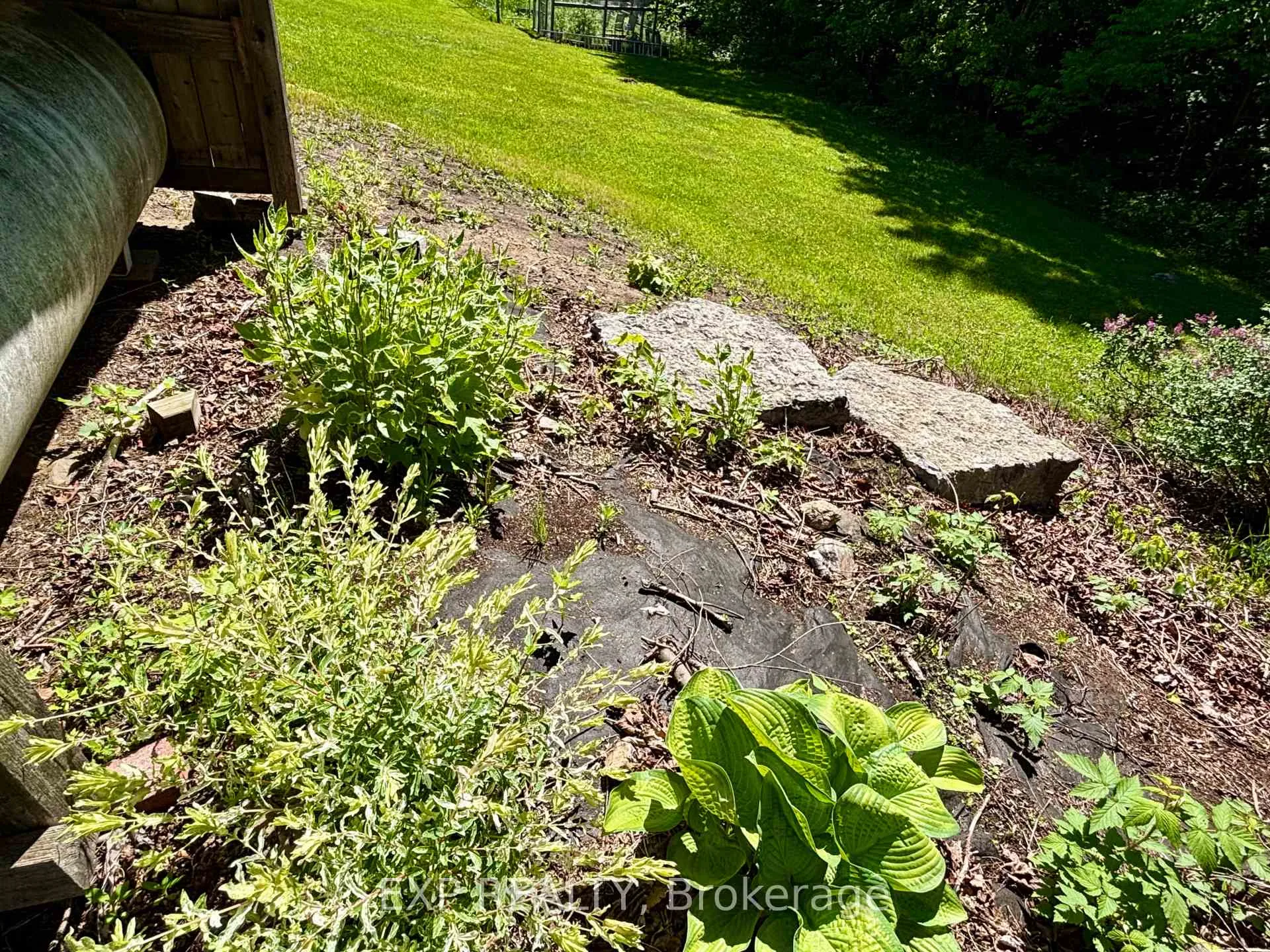 Photo 56 of 499 Centreview Road, Hastings Highlands, Bangor Ward — HOMEH