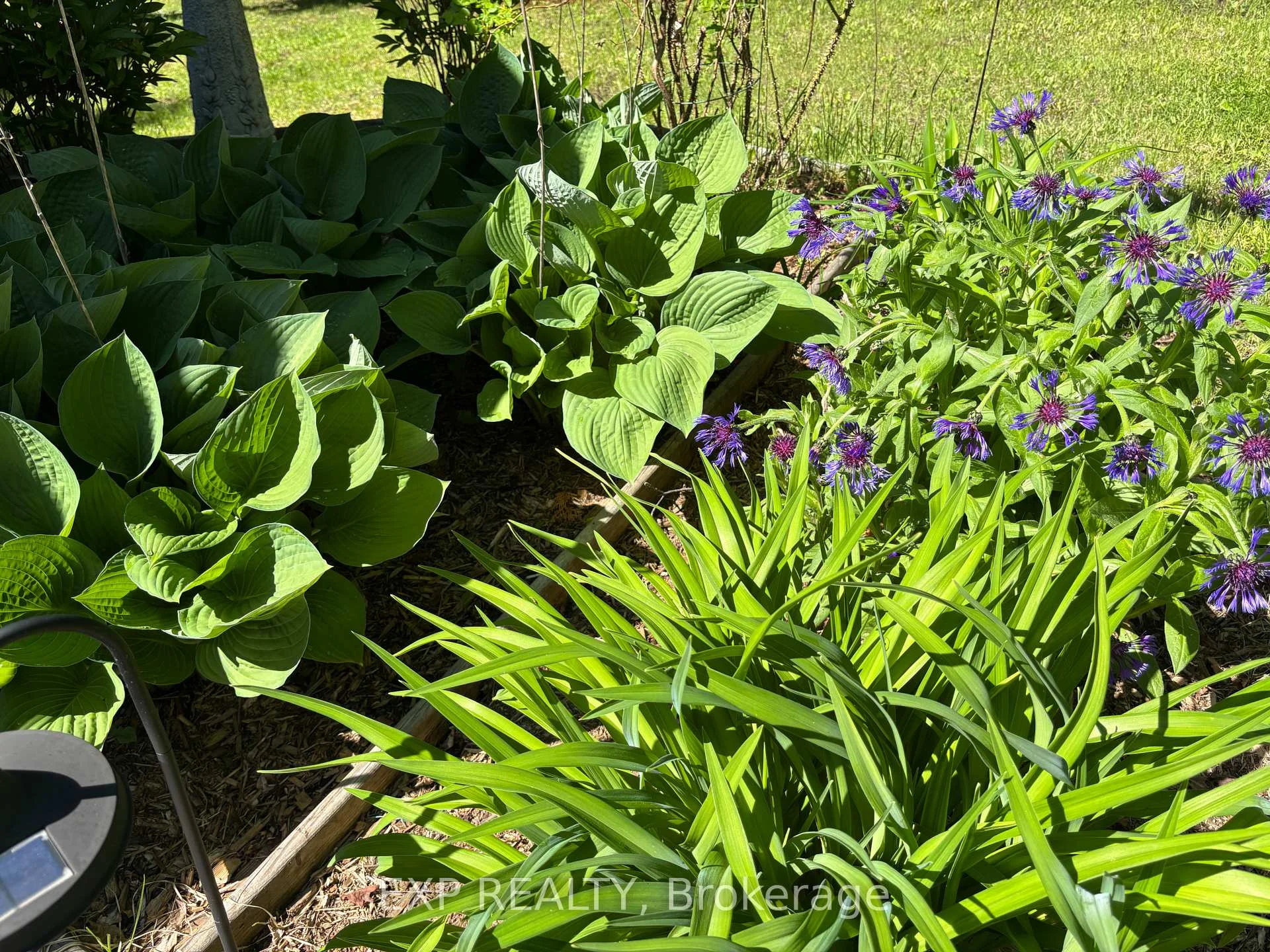 Photo 8 of 499 Centreview Road, Hastings Highlands, Bangor Ward — HOMEH