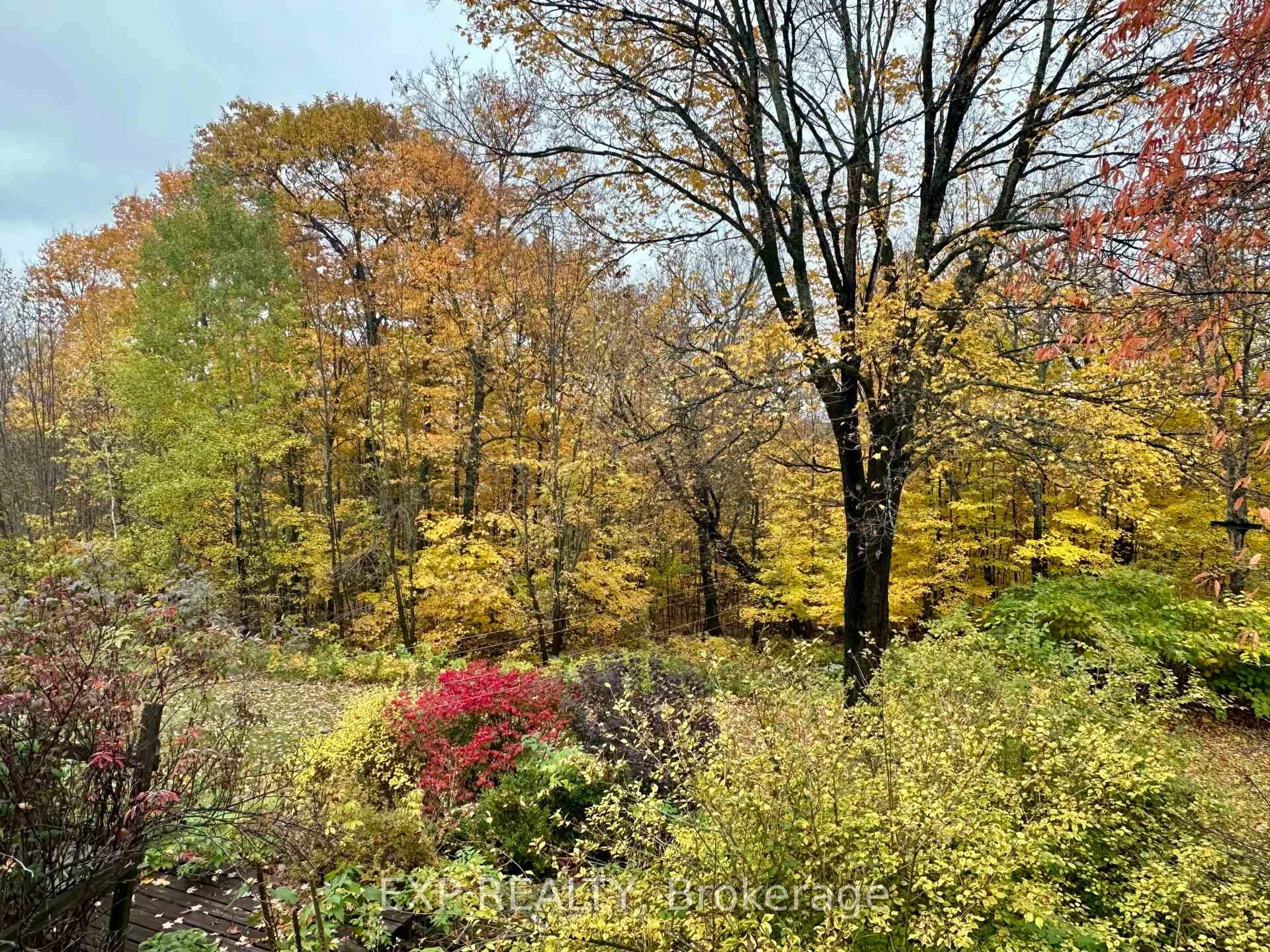 Photo 69 of 499 Centreview Road, Hastings Highlands, Bangor Ward — HOMEH