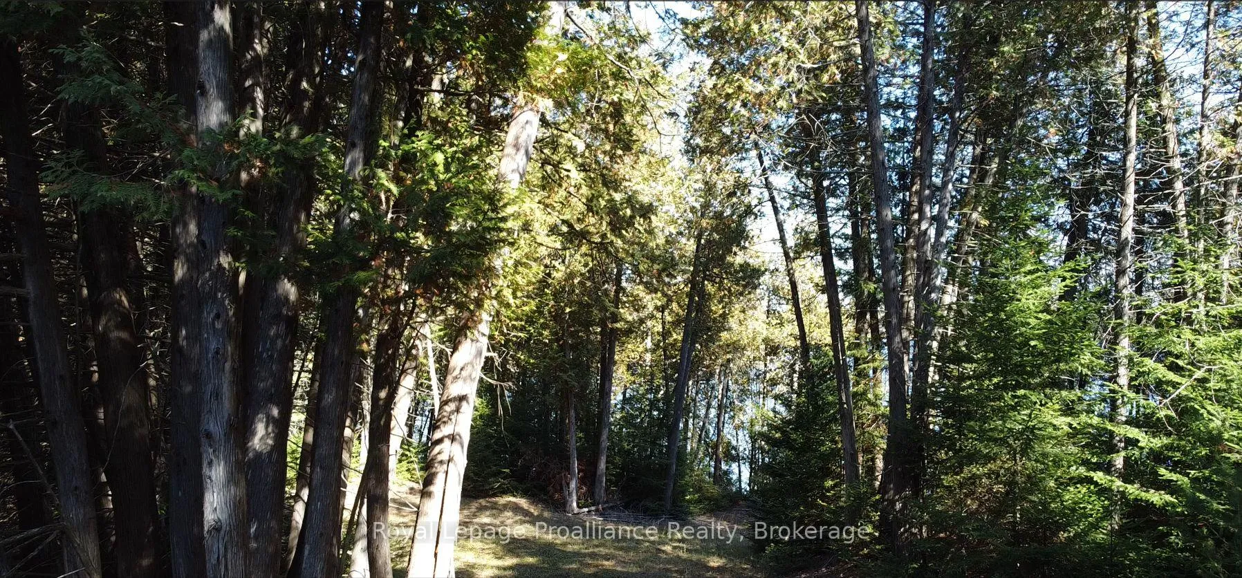 Photo 9 of 6107 Buckshot Lake Road, Frontenac, Frontenac North — HOMEH