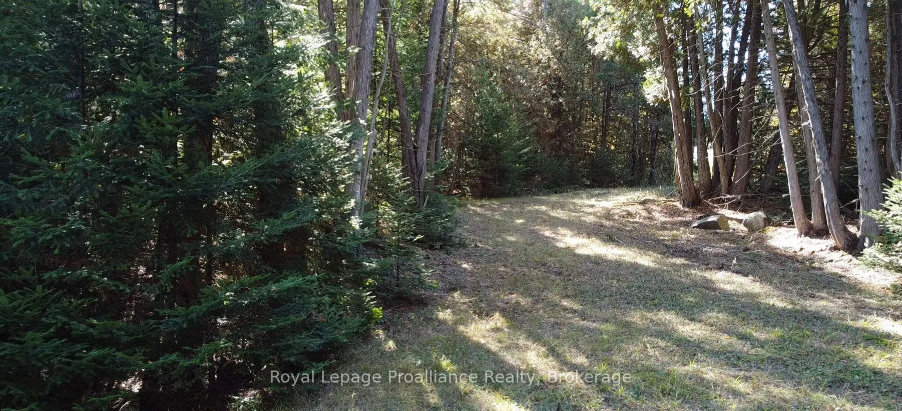 Photo 10 of 6107 Buckshot Lake Road, Frontenac, Frontenac North — HOMEH