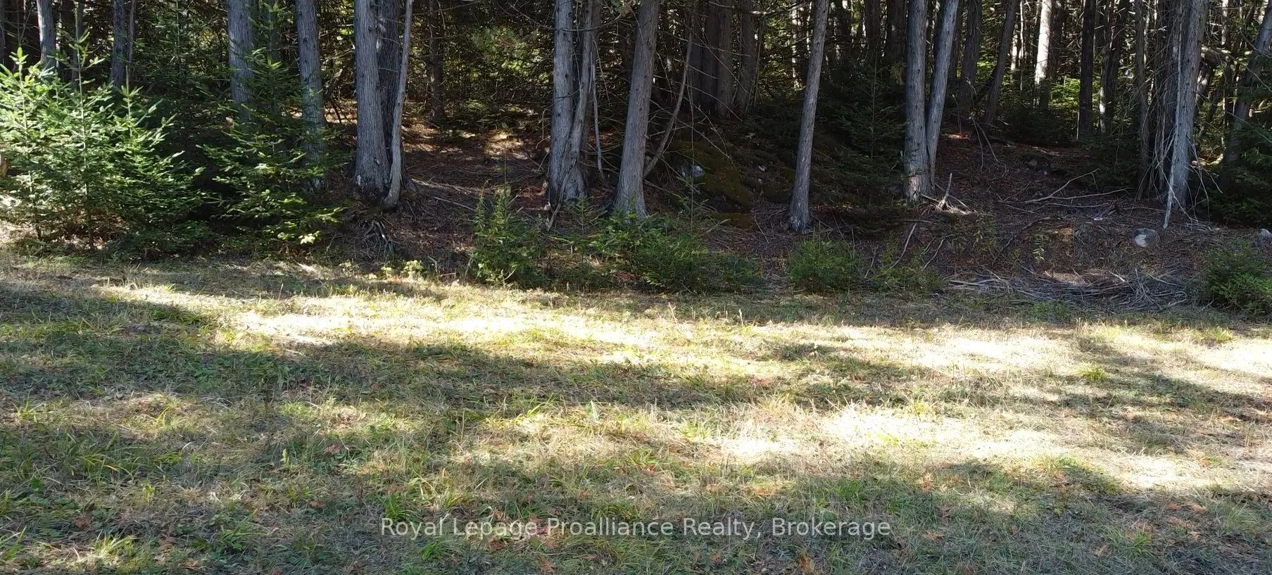 Photo 11 of 6107 Buckshot Lake Road, Frontenac, Frontenac North — HOMEH