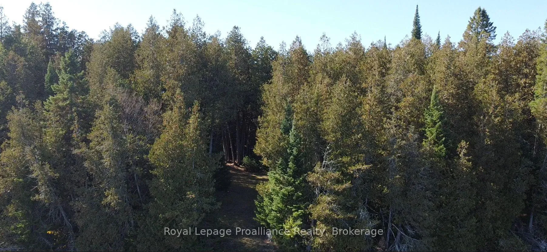 Photo 14 of 6107 Buckshot Lake Road, Frontenac, Frontenac North — HOMEH