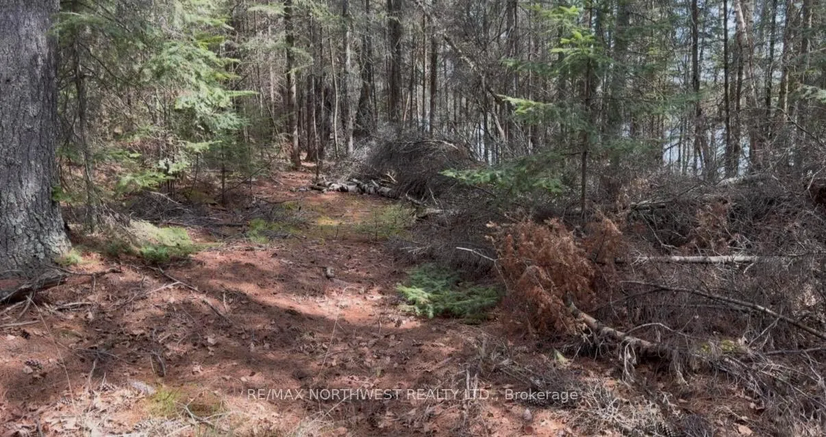 Photo 17 of G-1262 Island, Rainy River Remote Area — HOMEH