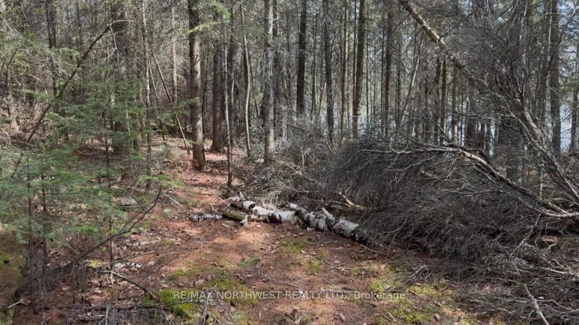 Photo 18 of G-1262 Island, Rainy River Remote Area — HOMEH