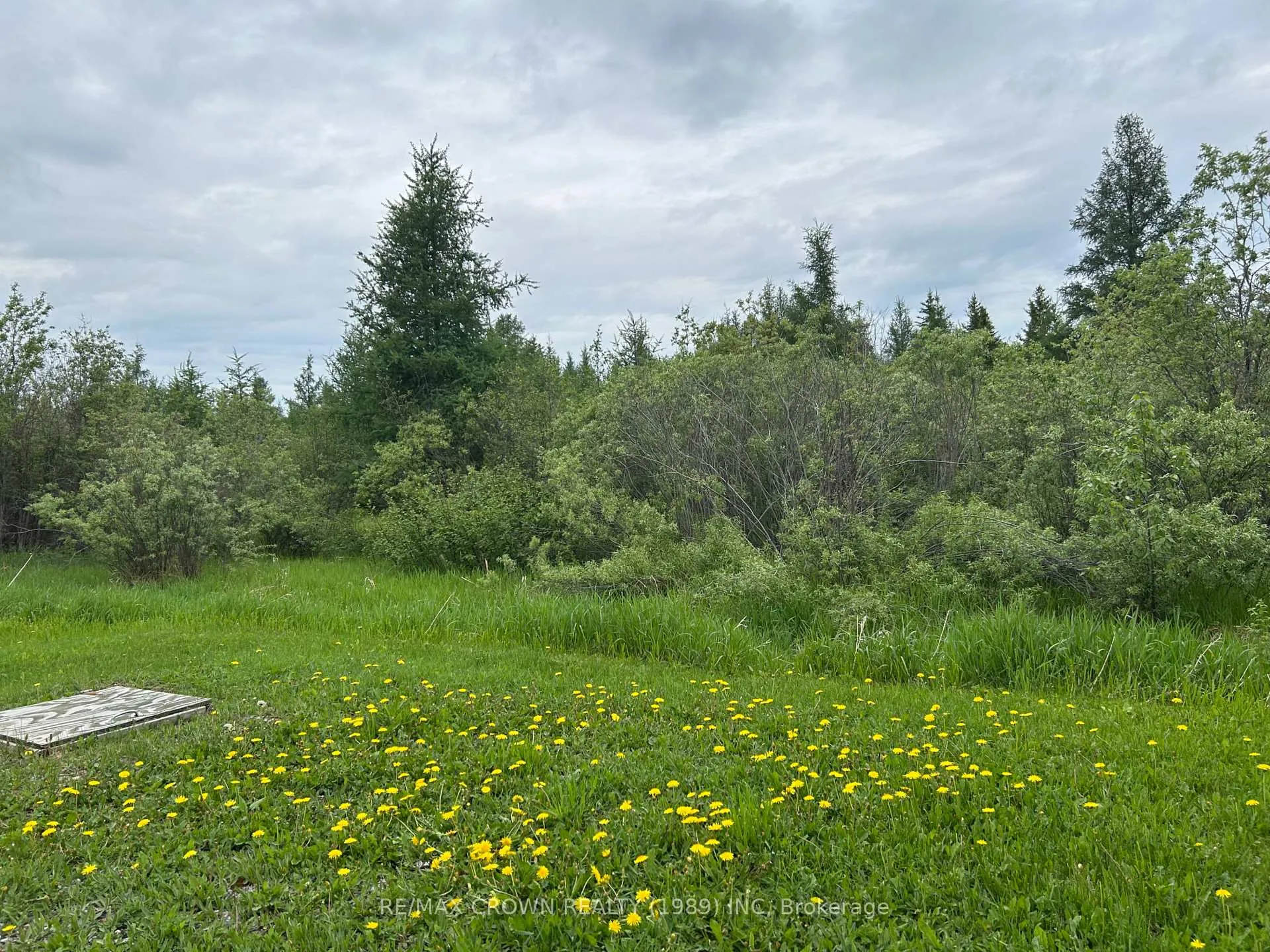 Photo 8 of 348 Government Road W, Kapuskasing — HOMEH