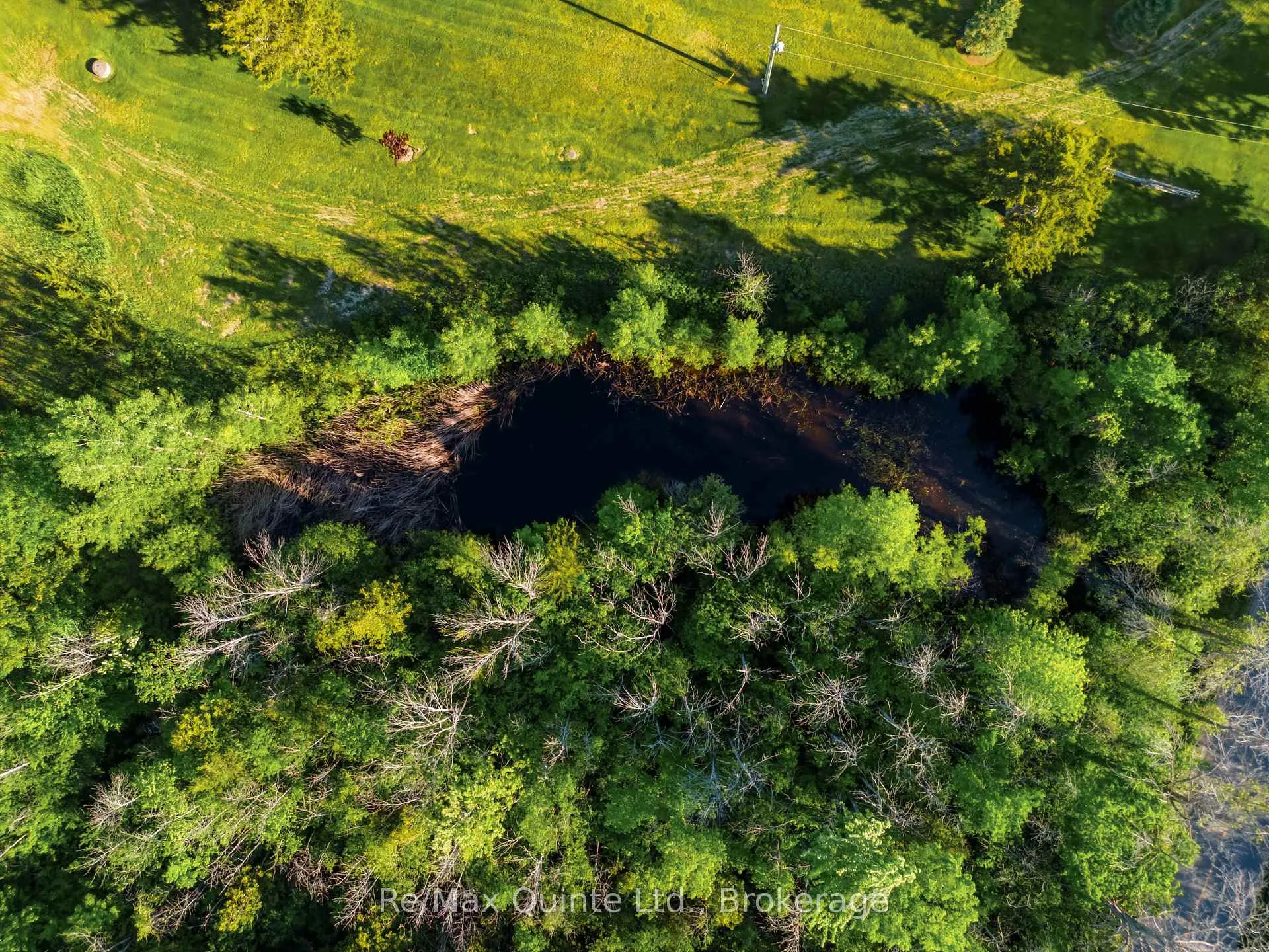 Photo 39 of 163 County Road 25, Prince Edward County, North Marysburg Ward — HOMEH