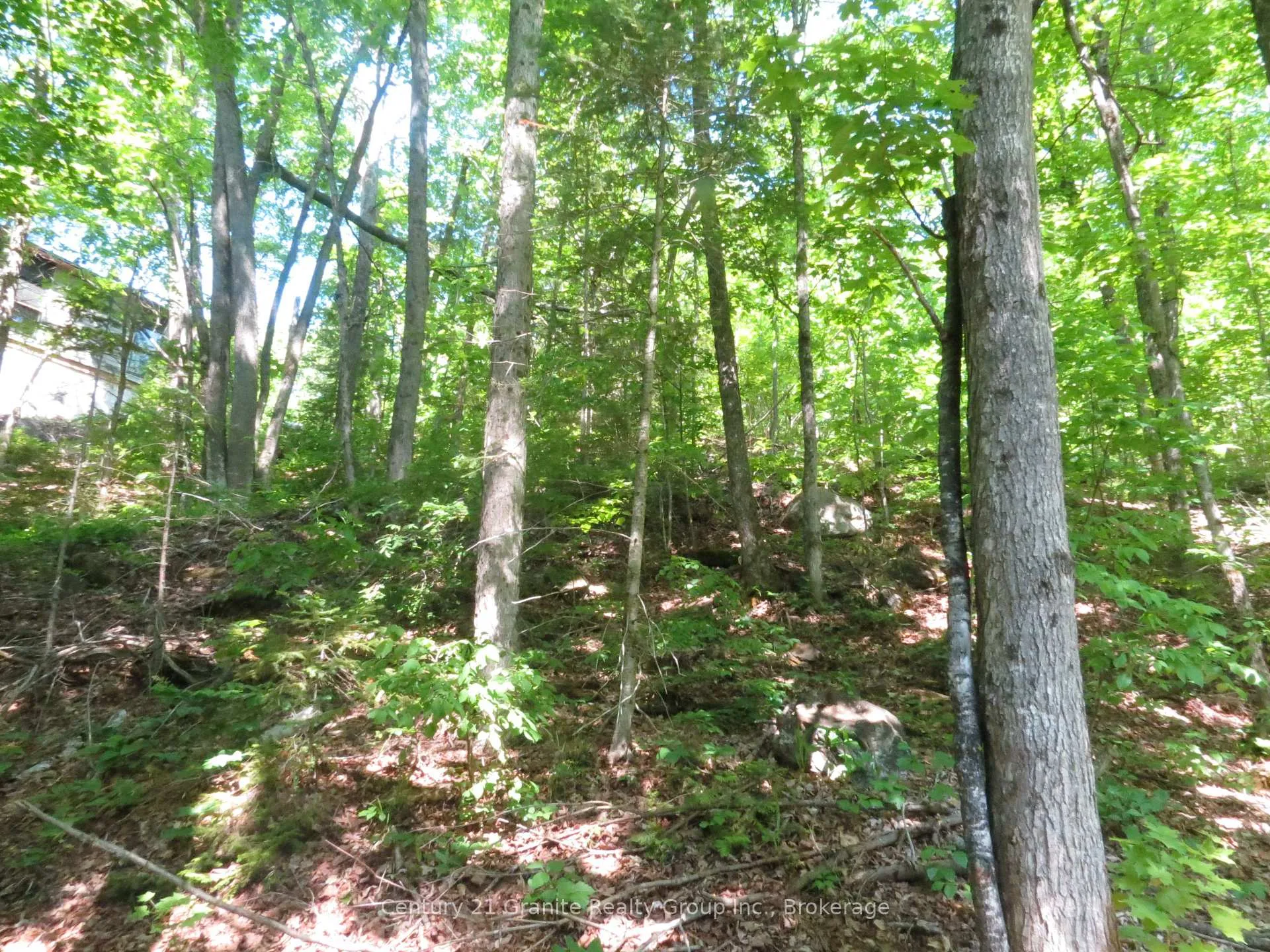Photo 2 of Fire Route 330, Trent Lakes — HOMEH