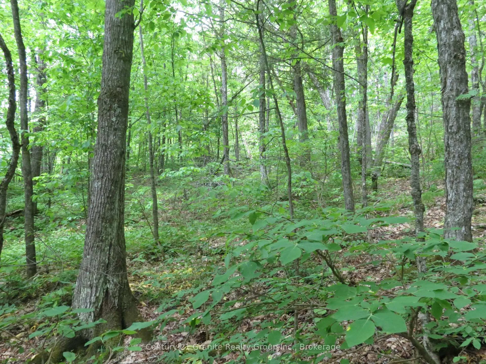 Photo 4 of Fire Route 330, Trent Lakes — HOMEH