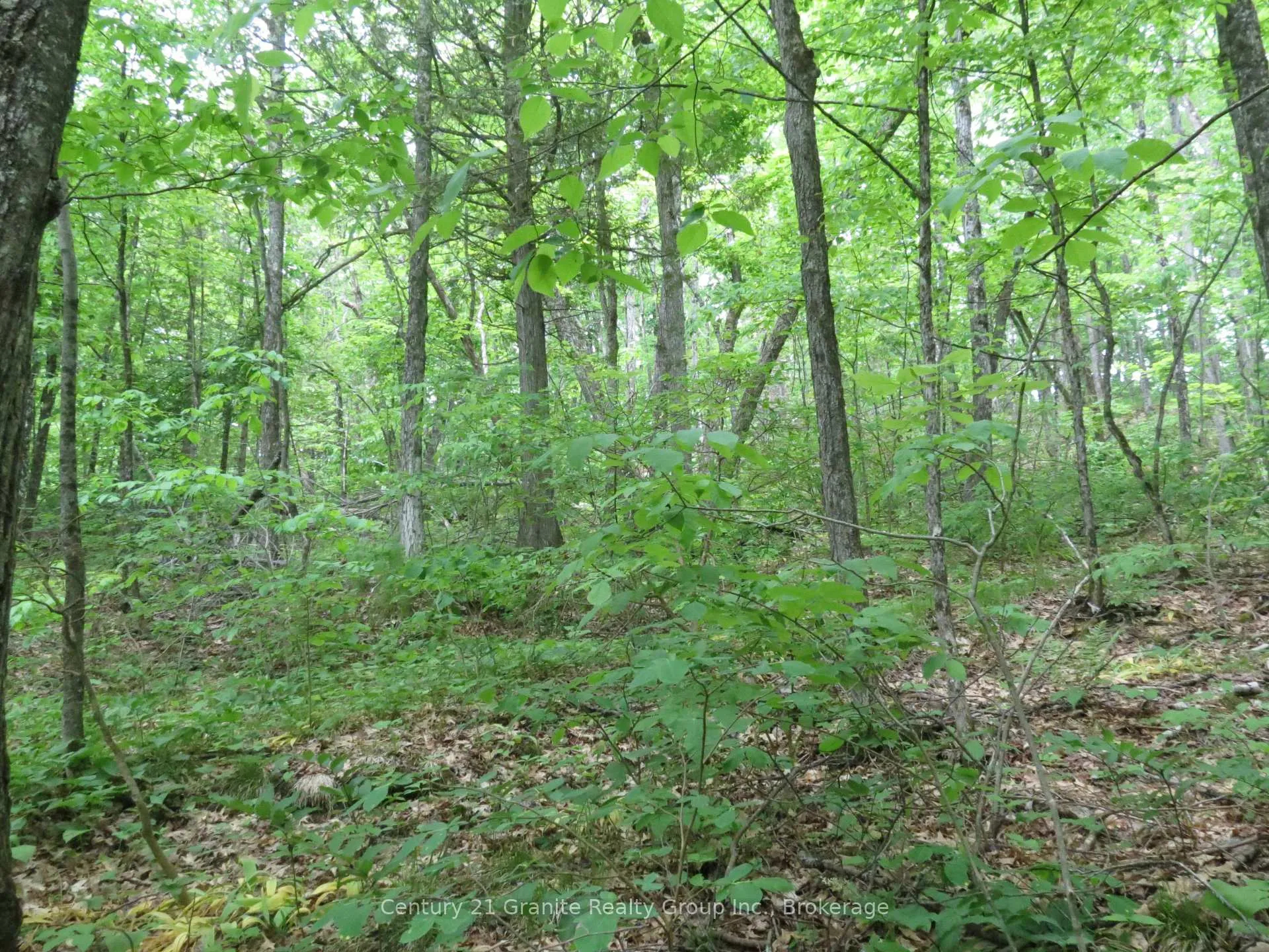 Photo 5 of Fire Route 330, Trent Lakes — HOMEH
