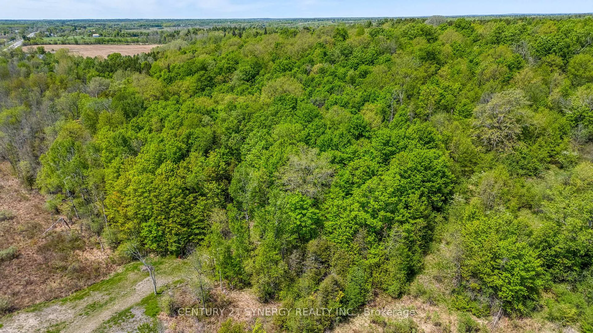 Photo 9 of 19112 Highway 7, Tay Valley, Bathurst/Burgess & Sherbrooke (Bathurst) Twp — HOMEH