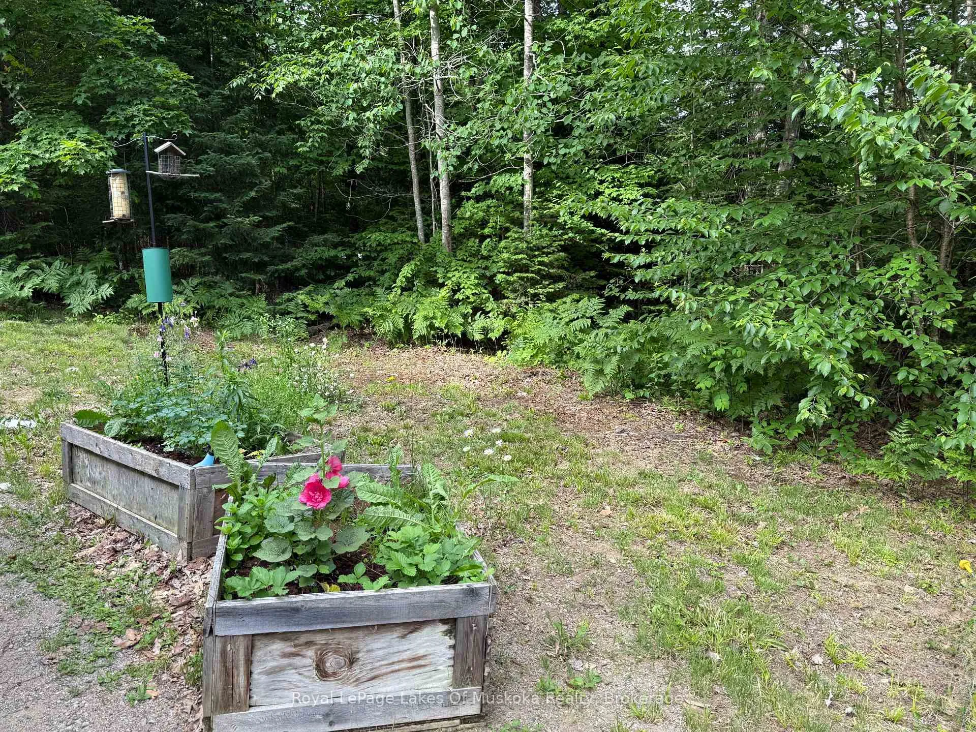 Photo 9 of 1118 Stoney Road, Ryerson — HOMEH