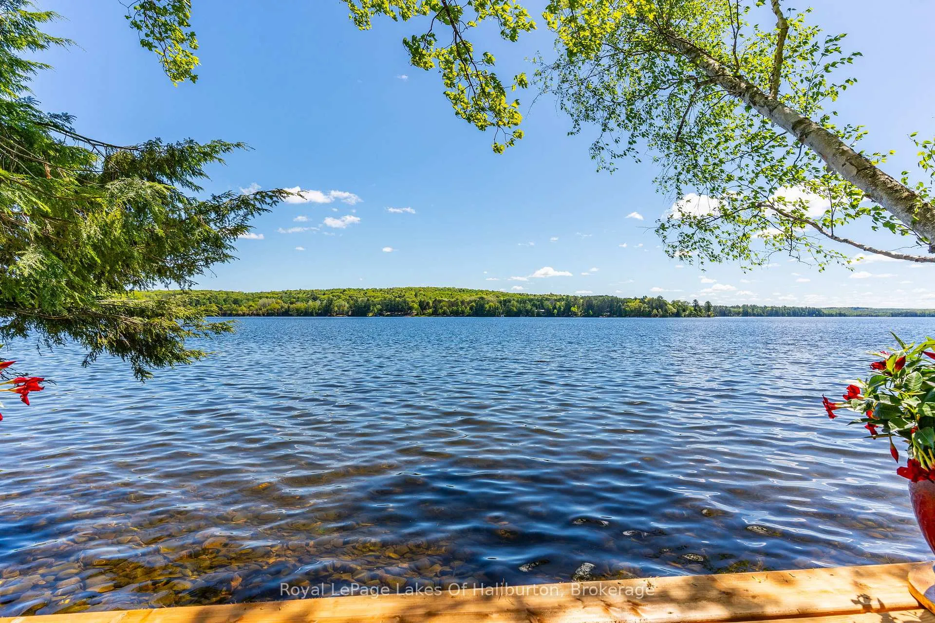 Photo 42 of 1272 Boshkung Lake Road, Algonquin Highlands, Stanhope — HOMEH