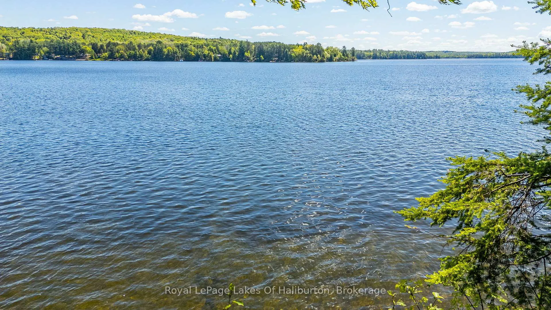 Photo 44 of 1272 Boshkung Lake Road, Algonquin Highlands, Stanhope — HOMEH