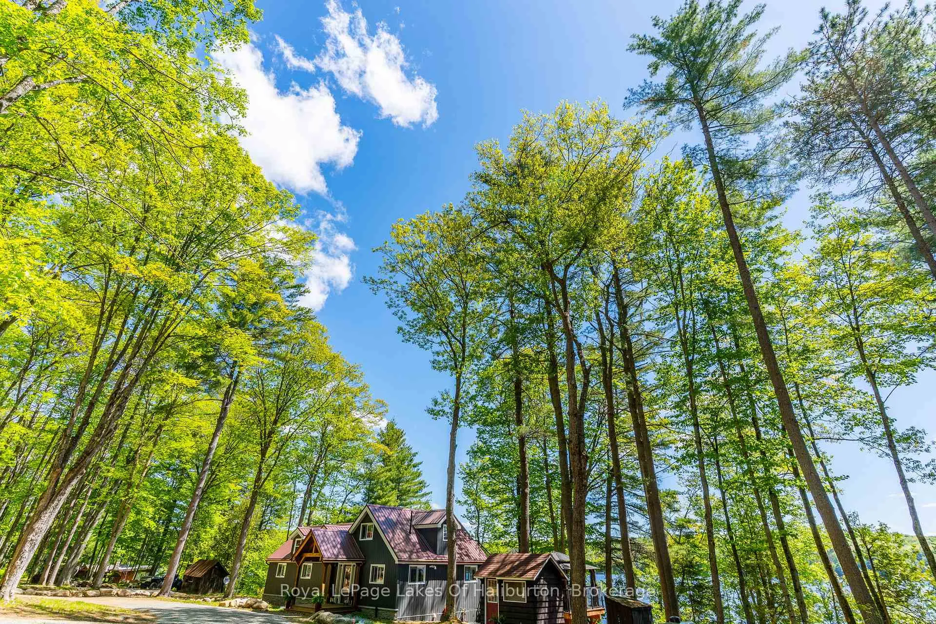 Photo 45 of 1272 Boshkung Lake Road, Algonquin Highlands, Stanhope — HOMEH