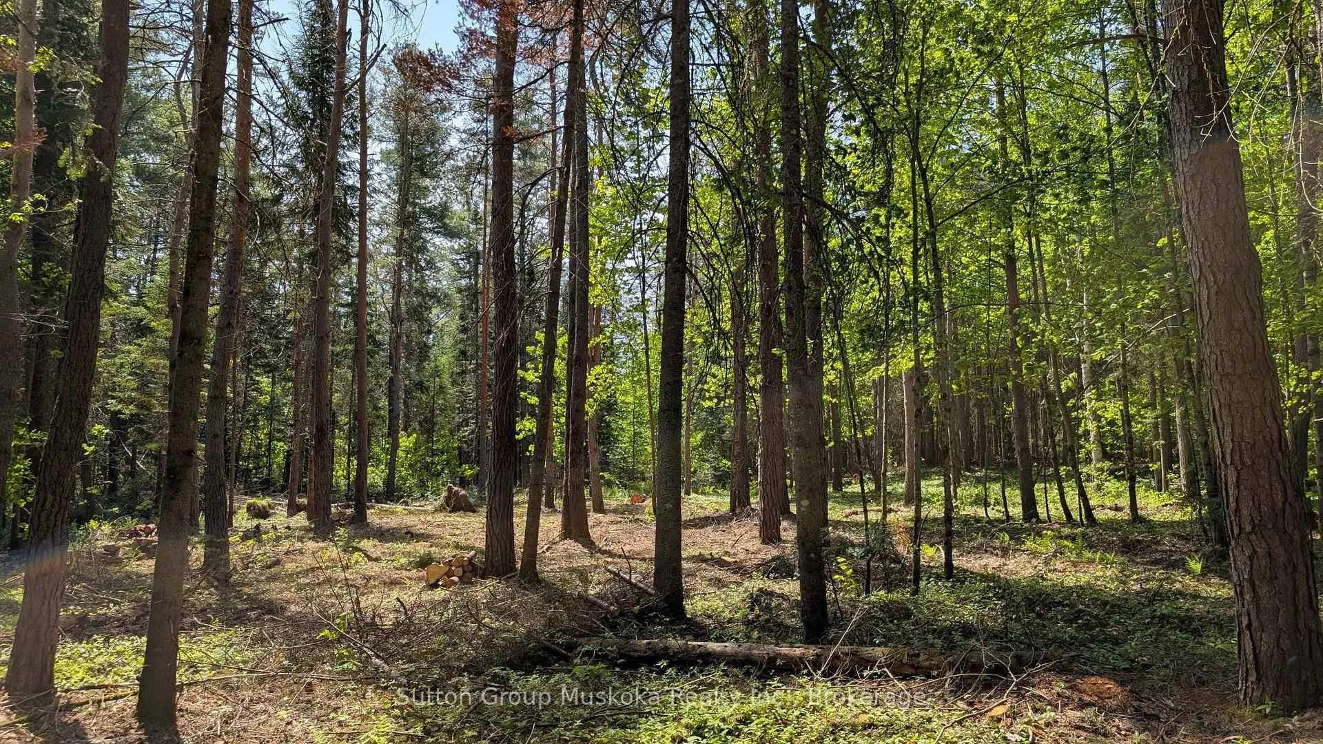 Photo 4 of Lot 1 Red Pine Trail, Bracebridge, Macaulay — HOMEH