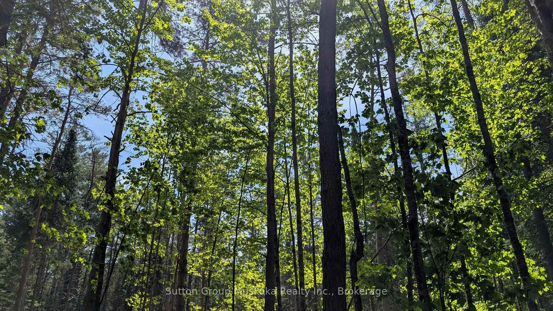 Photo 5 of Lot 1 Red Pine Trail, Bracebridge, Macaulay — HOMEH