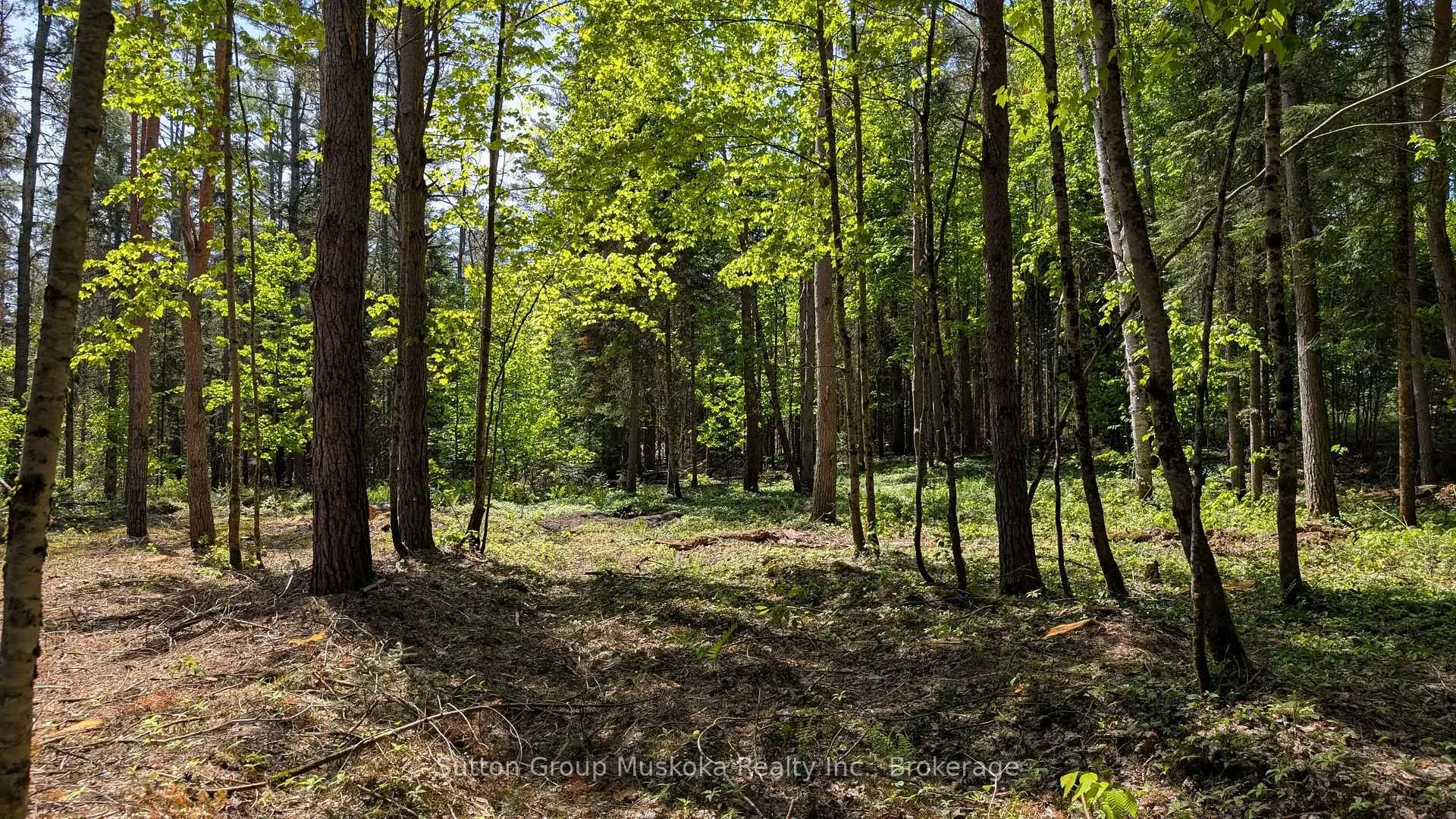 Photo 6 of Lot 1 Red Pine Trail, Bracebridge, Macaulay — HOMEH