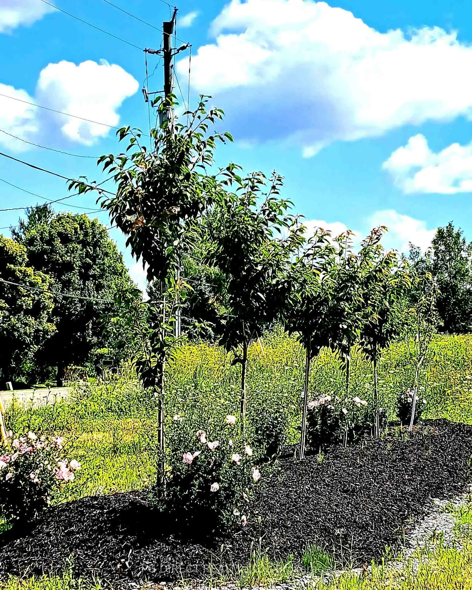 Photo 6 of 329 County Rd 3, Prince Edward County, Ameliasburg Ward — HOMEH