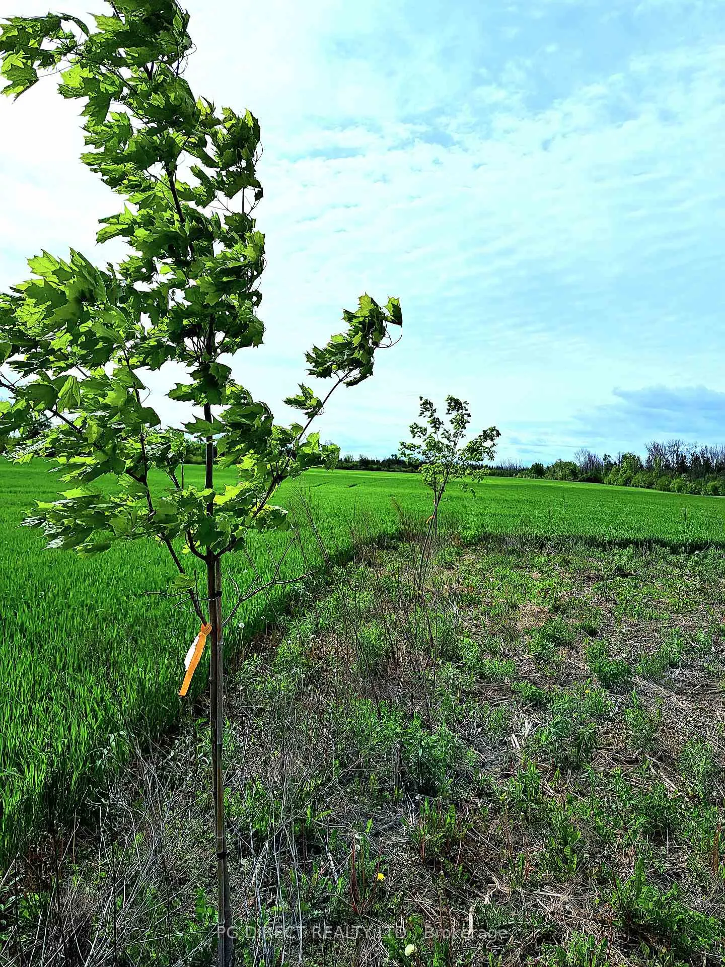 Photo 9 of 329 County Rd 3, Prince Edward County, Ameliasburg Ward — HOMEH