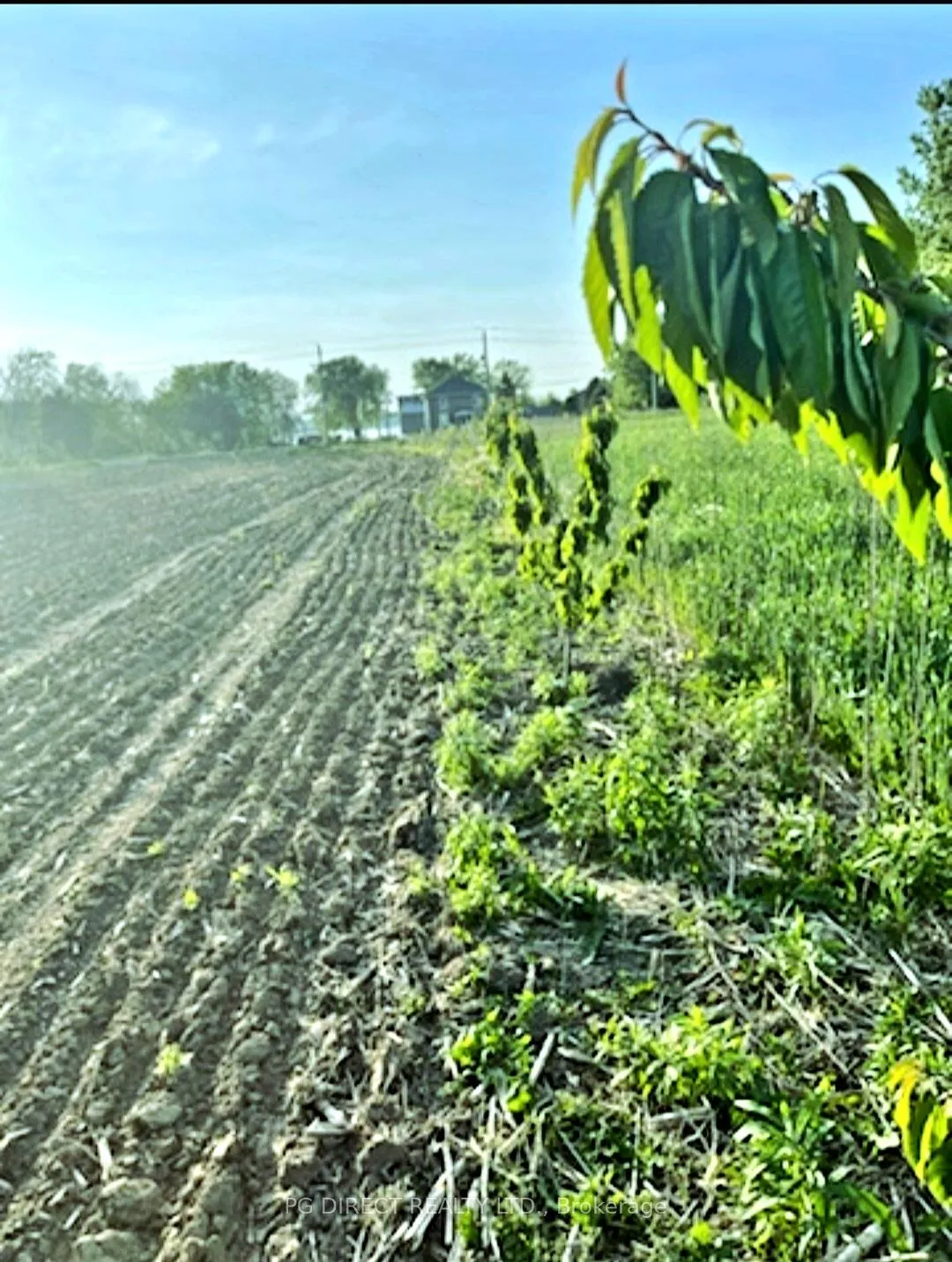 Photo 11 of 329 County Rd 3, Prince Edward County, Ameliasburg Ward — HOMEH