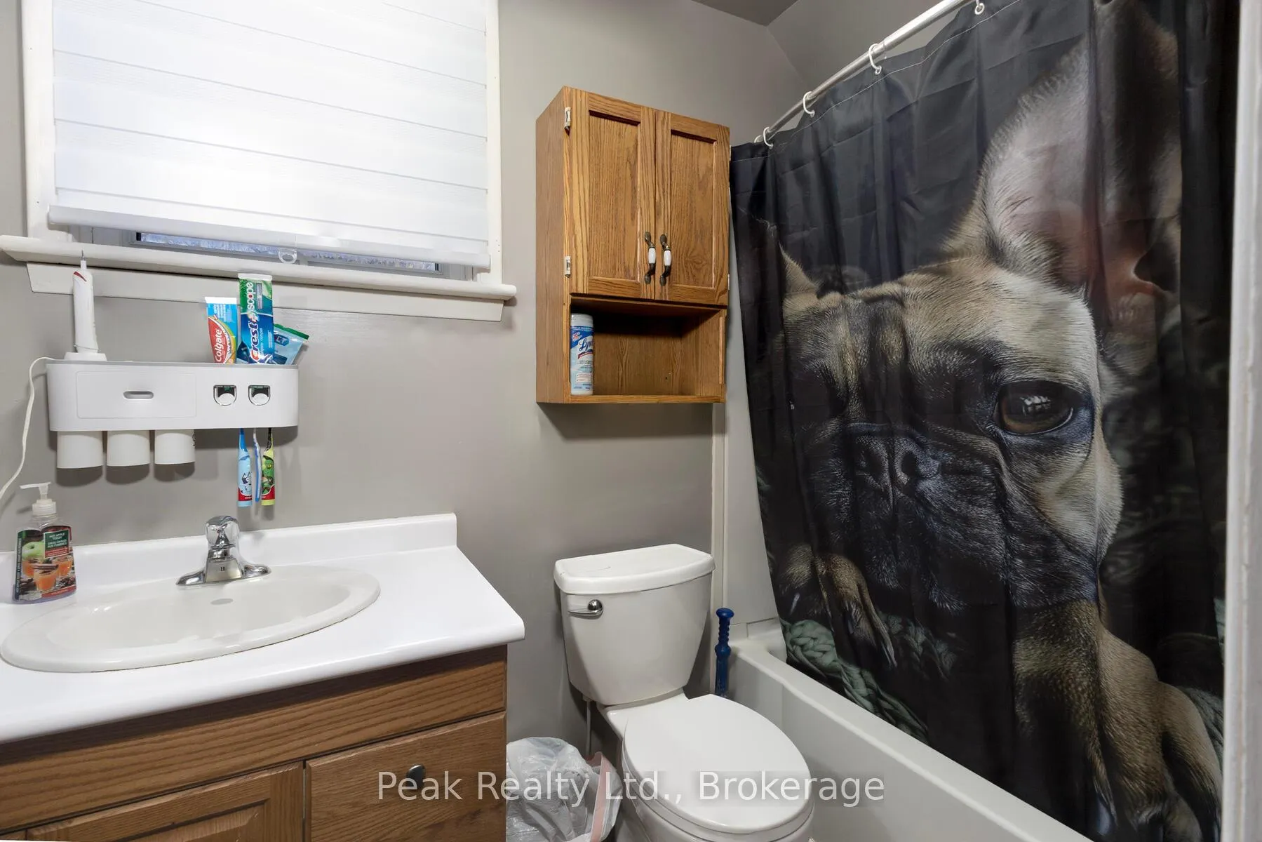 Photo 23 of 38 Mowat Street, Stratford — HOMEH