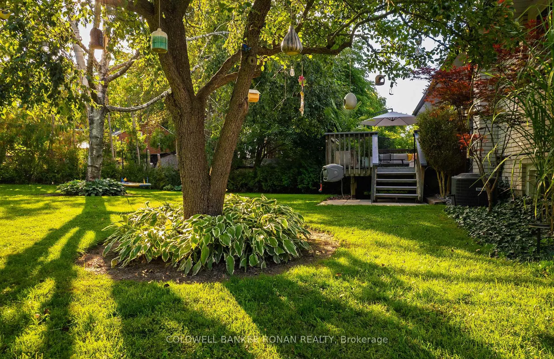 Photo 41 of 11 Pratt Road, Barrie, Wellington — HOMEH
