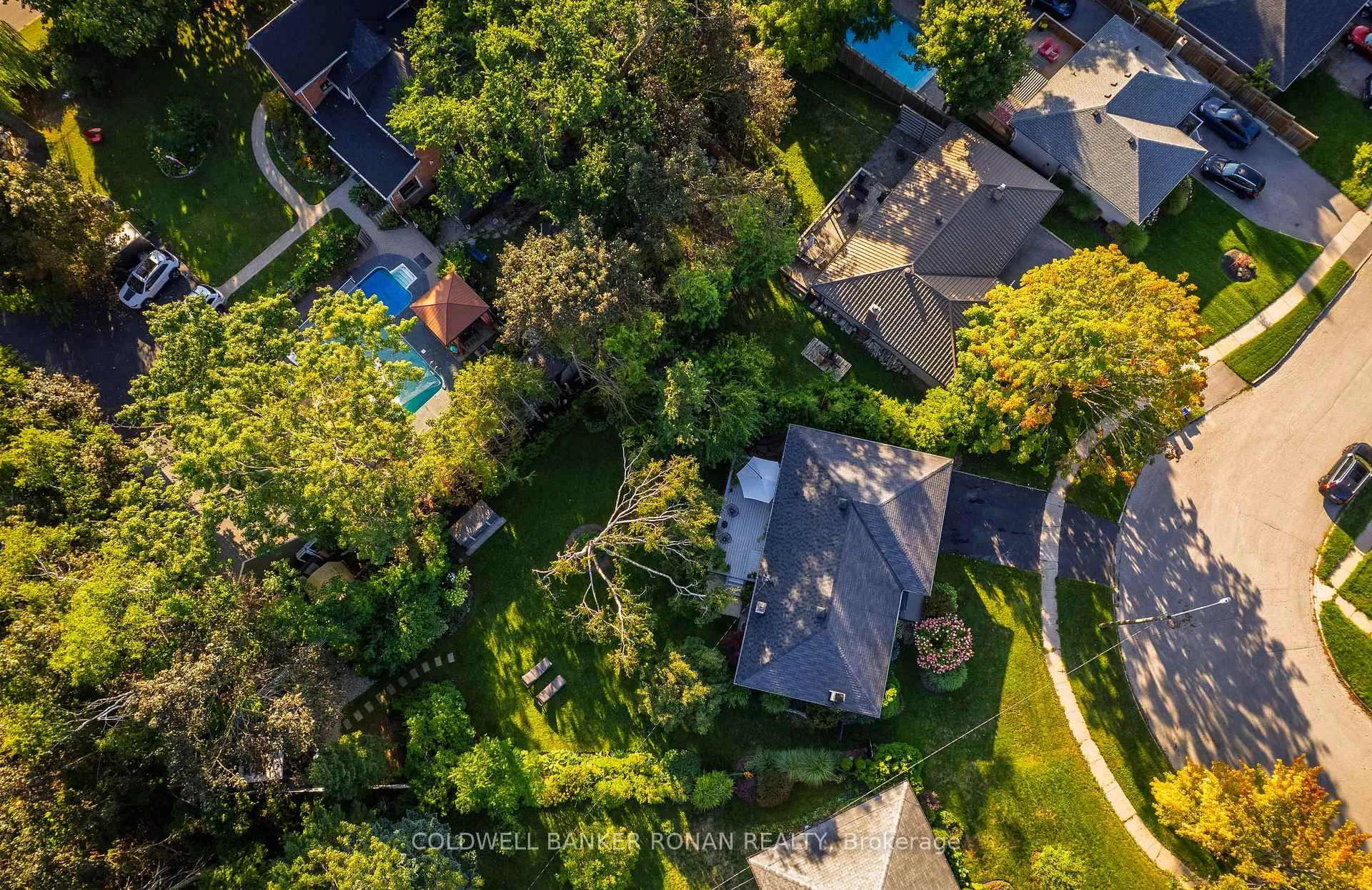 Photo 43 of 11 Pratt Road, Barrie, Wellington — HOMEH