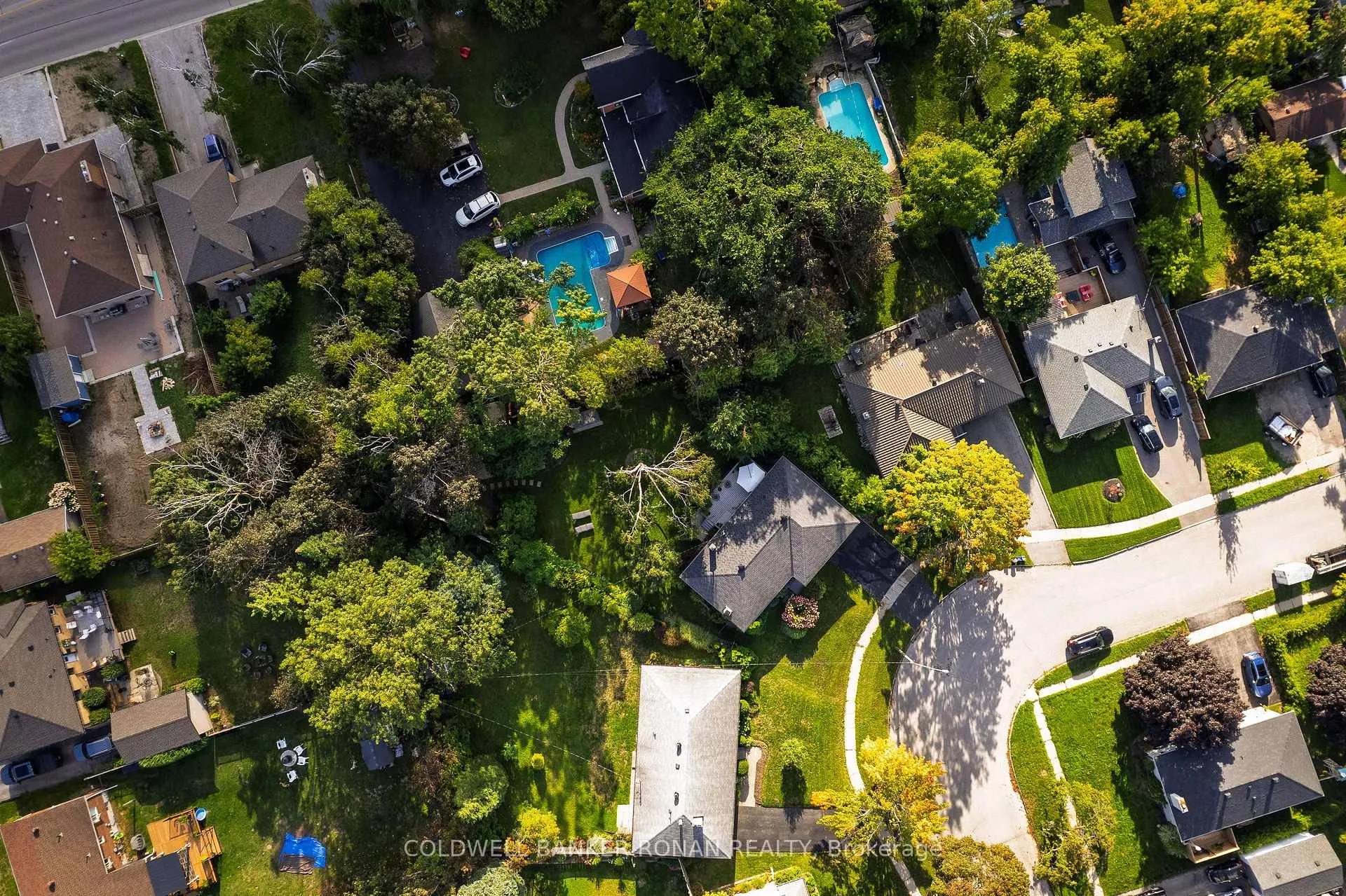 Photo 44 of 11 Pratt Road, Barrie, Wellington — HOMEH